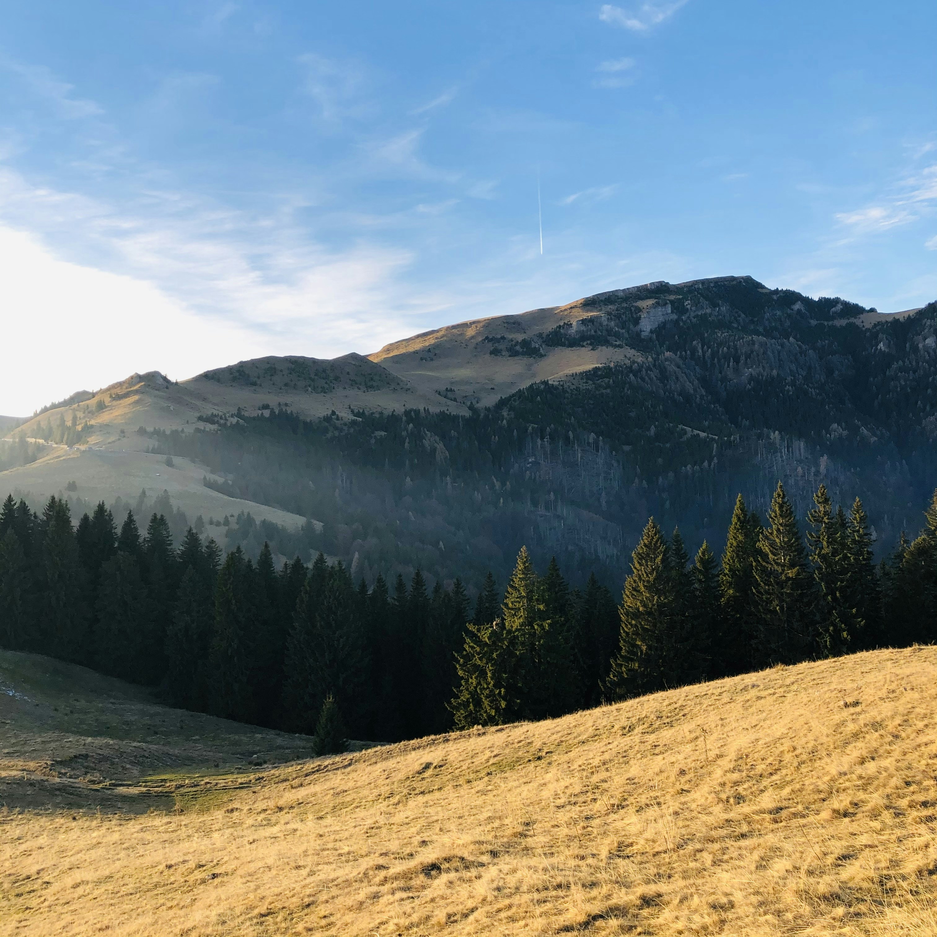 Photo by dasdasha2015