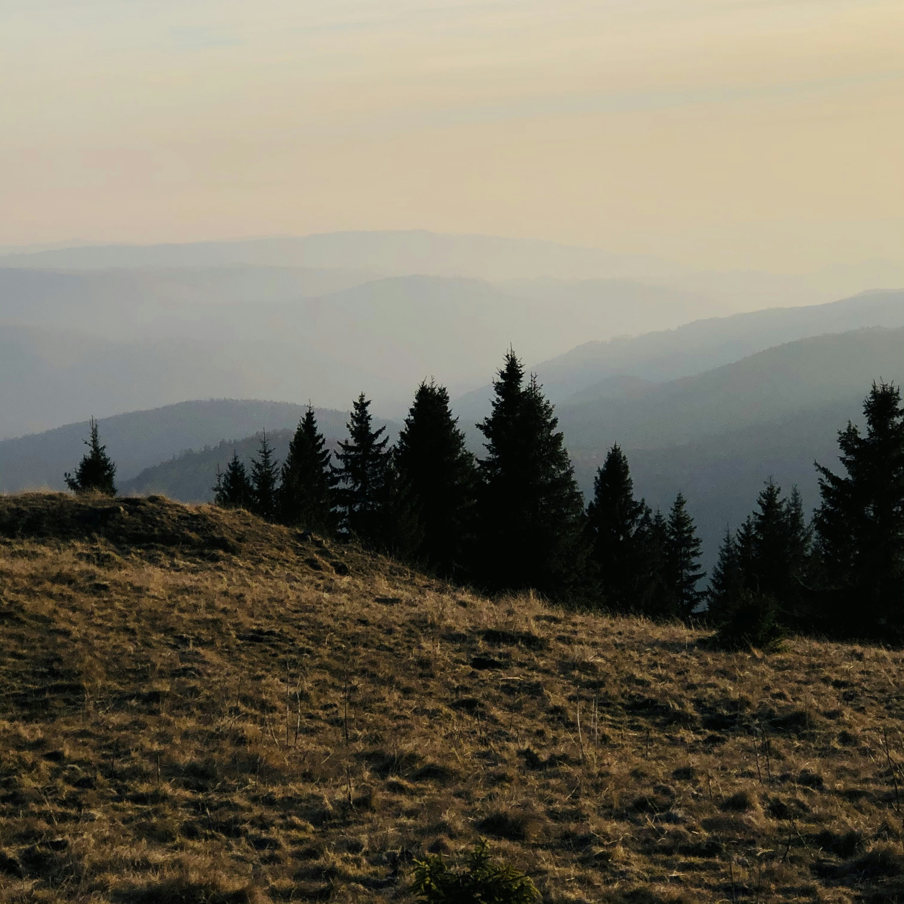 Photo by dasdasha2015