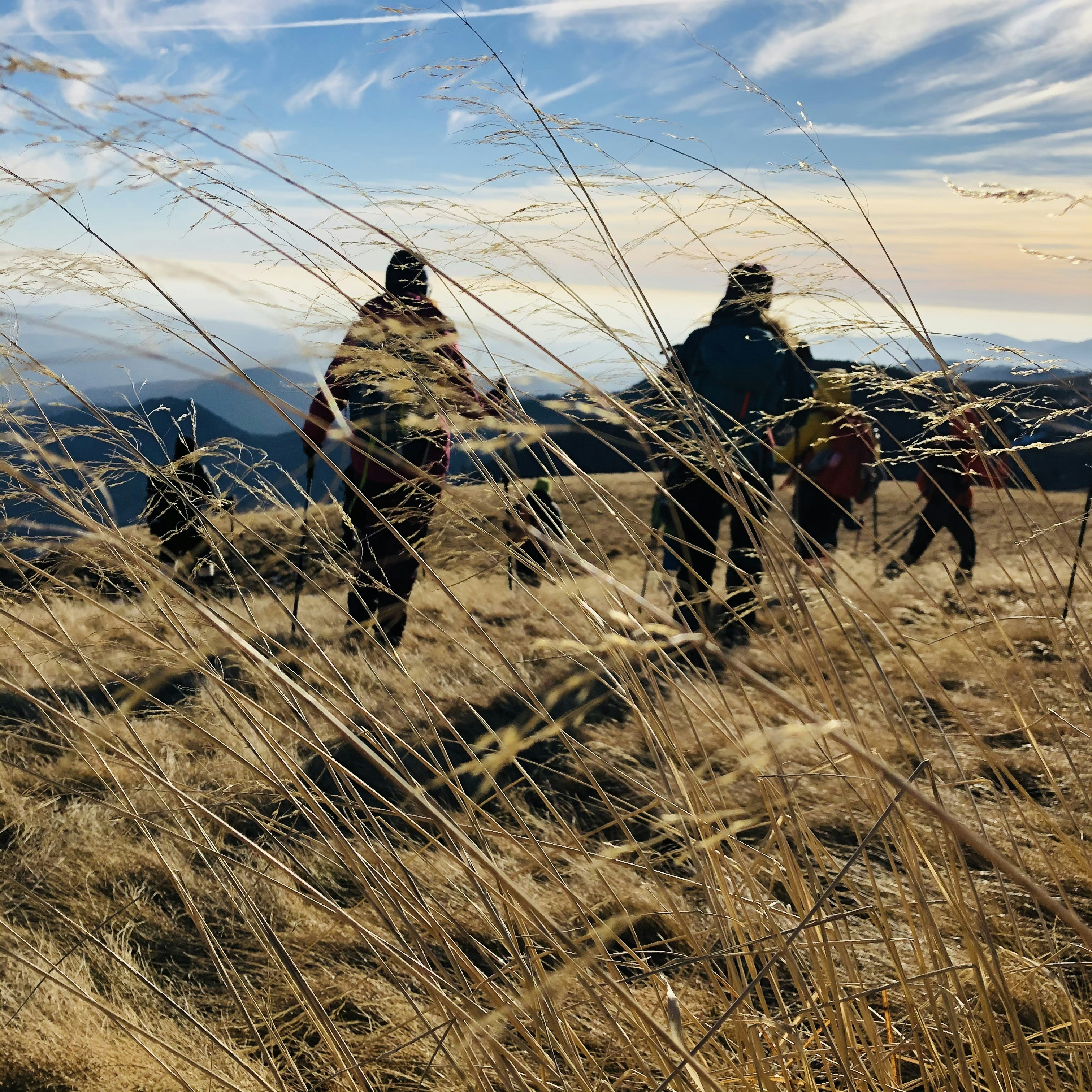 Photo by dasdasha2015