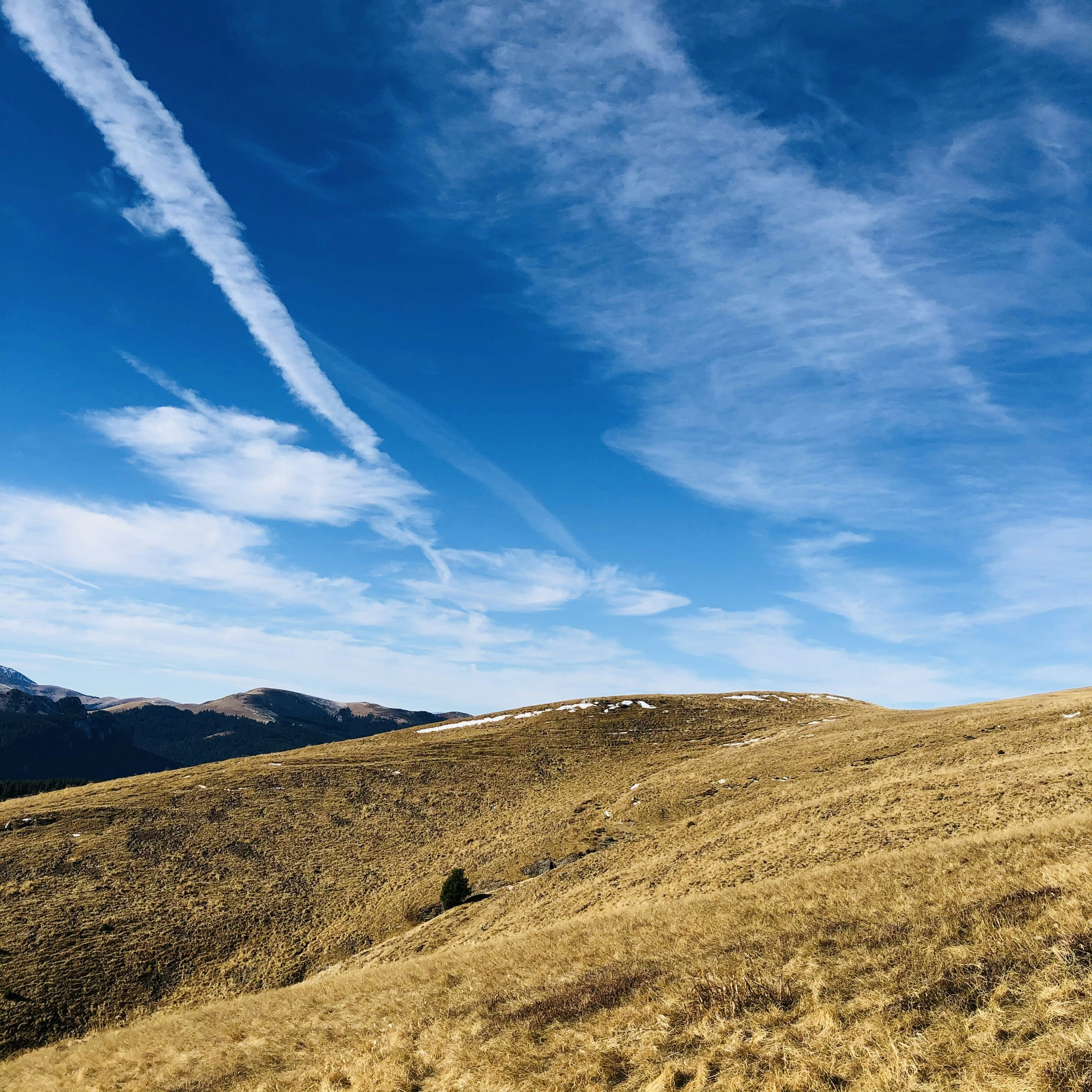 Photo by dasdasha2015