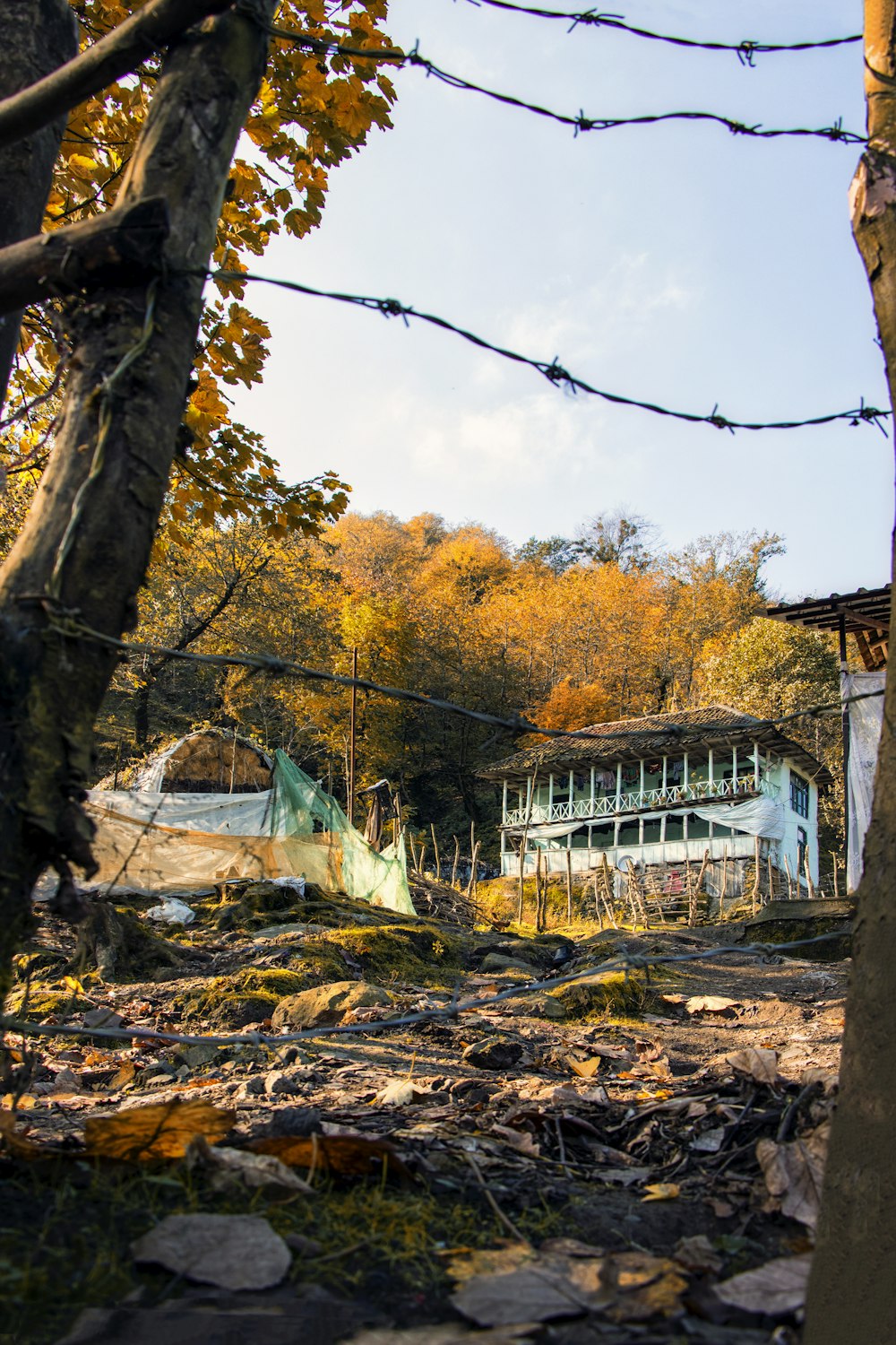 a house in the woods behind a barbed wire fence