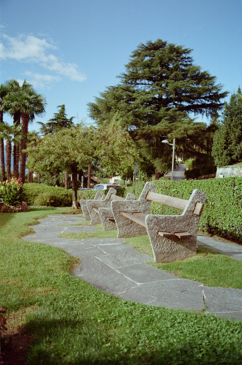 une rangée de bancs assis au sommet d’un parc verdoyant