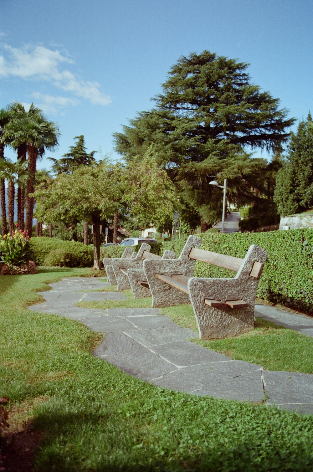 a row of benches sitting on top of a lush green park