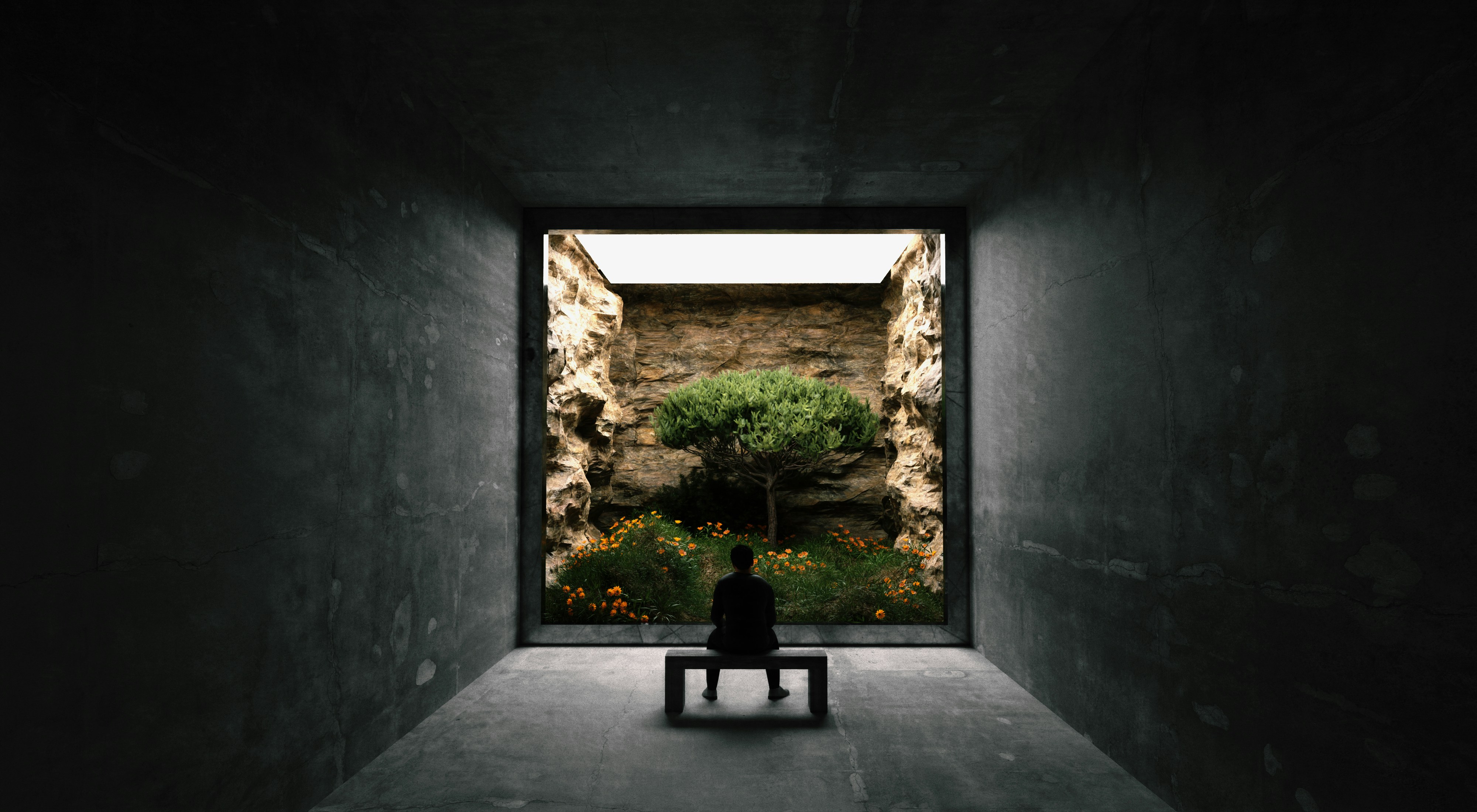 Photograph of a person sitting on a bench in a minimalist concrete room, looking out into a small, rugged courtyard with a tree and plants