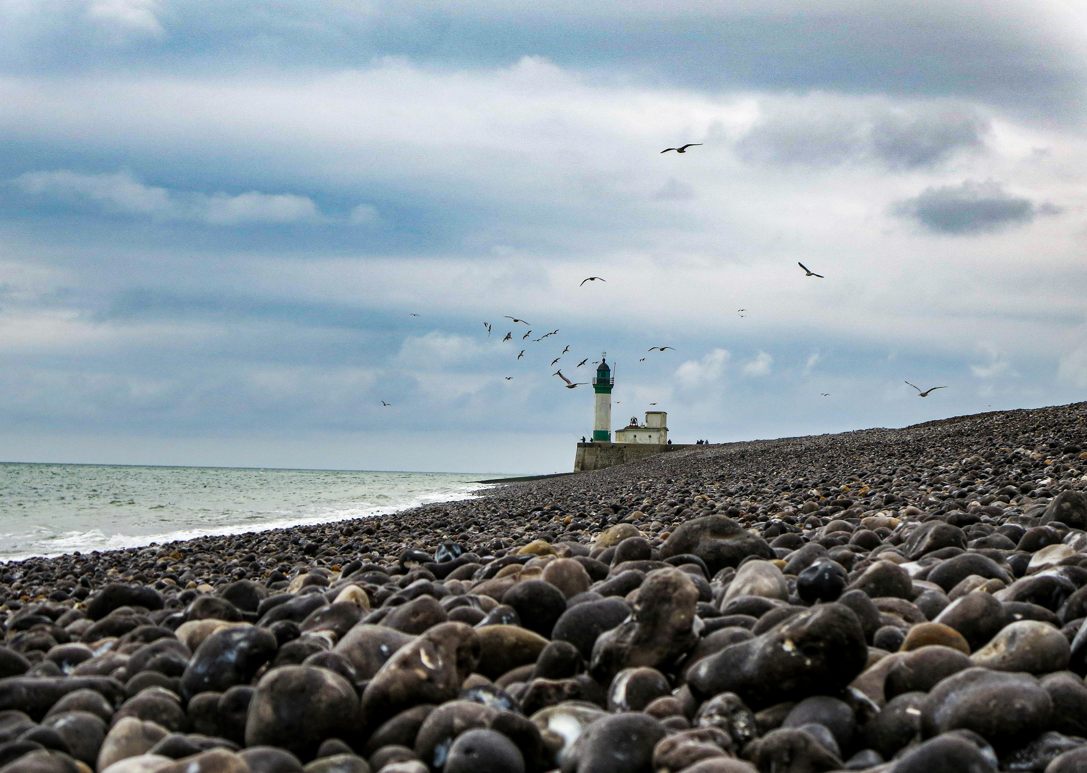 Photo by mohammadhu1