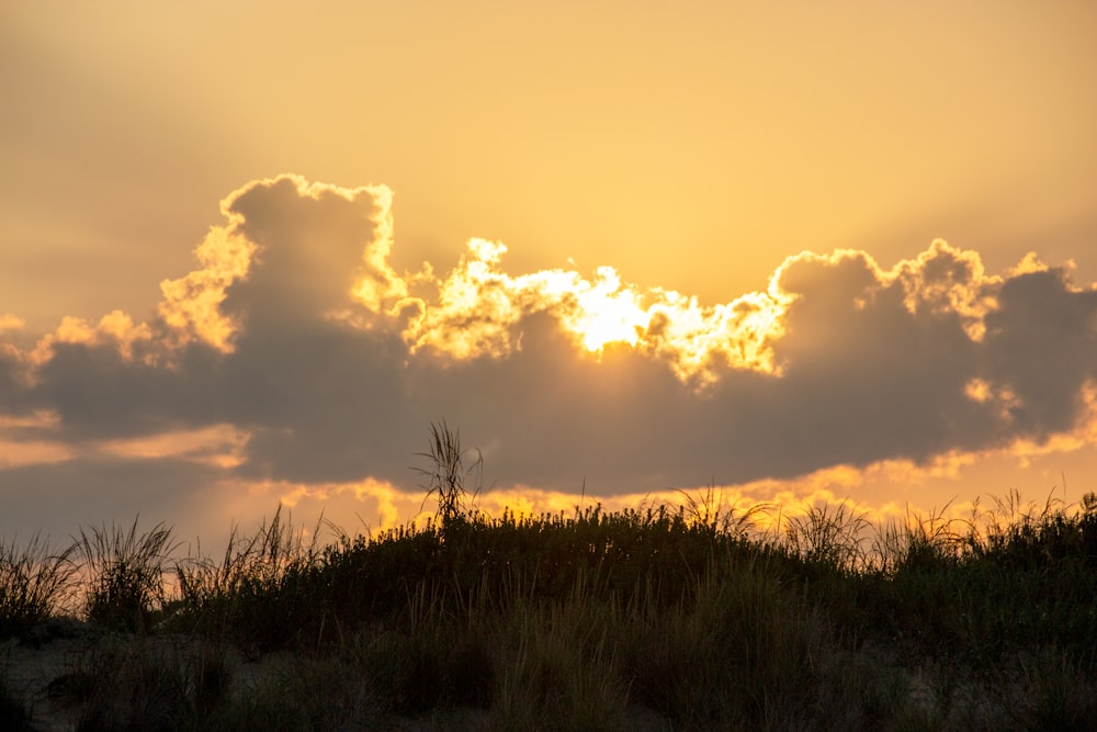 the sun is setting over a grassy hill