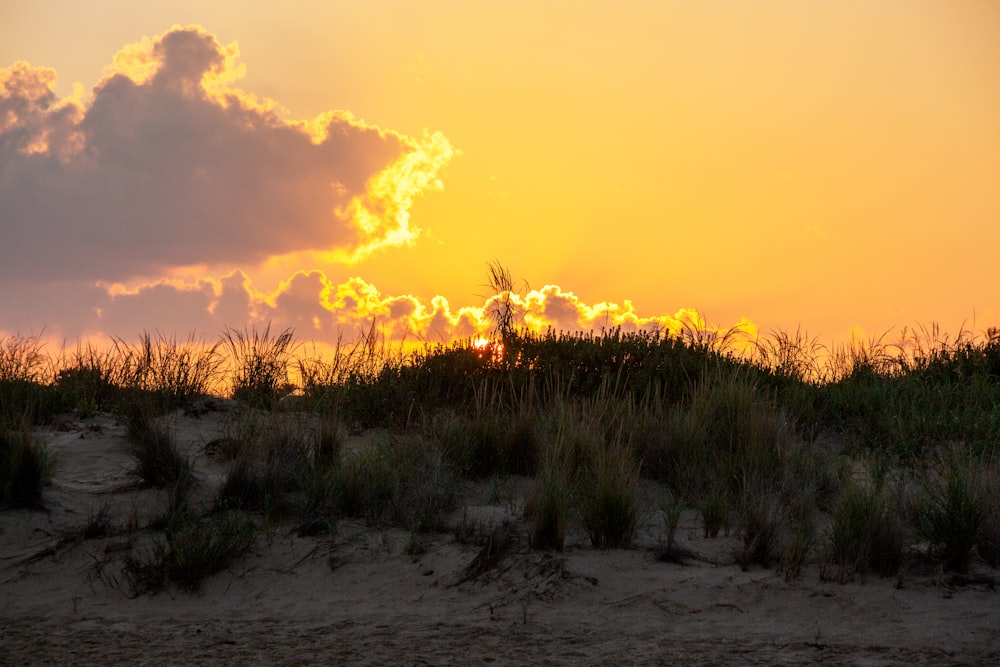 the sun is setting over the sand dunes