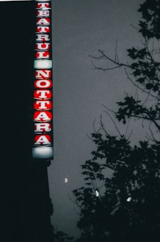 A vertical sign with bright red and white letters spells 'TEATRUL NOTTARA'. The sign is prominently illuminated against a dark, cloudy sky with the silhouette of tree branches and a crescent moon visible.