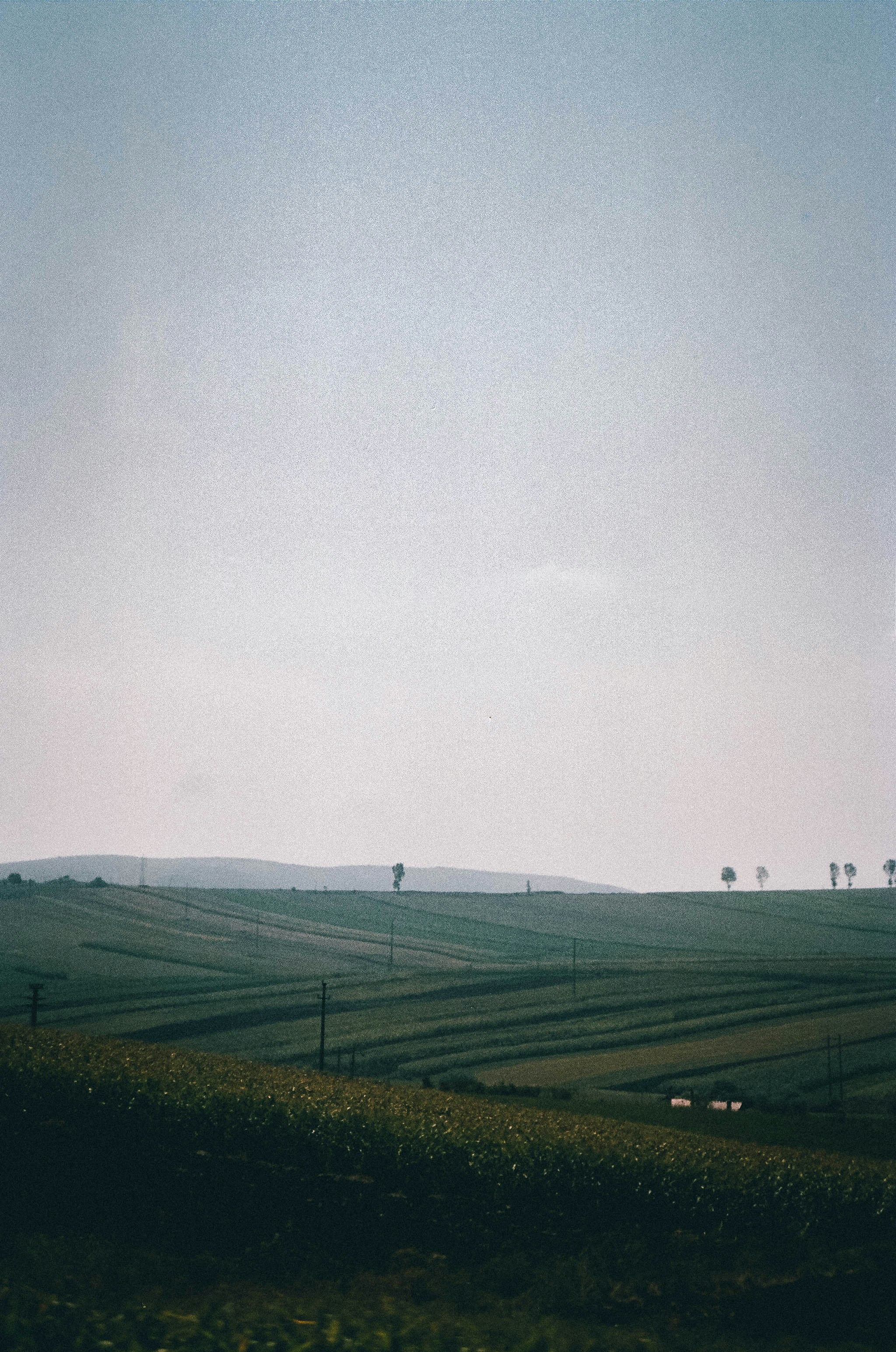 Photo by robcsaszar