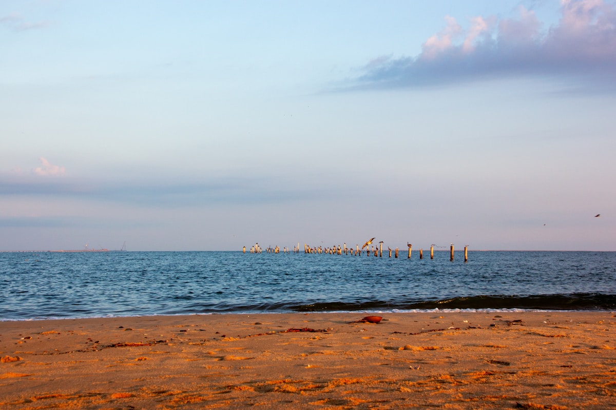 Homes for Sale In Virginia Beach 23455,Tom And Dariya Milan