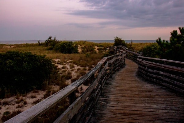 Sandbridge Beach