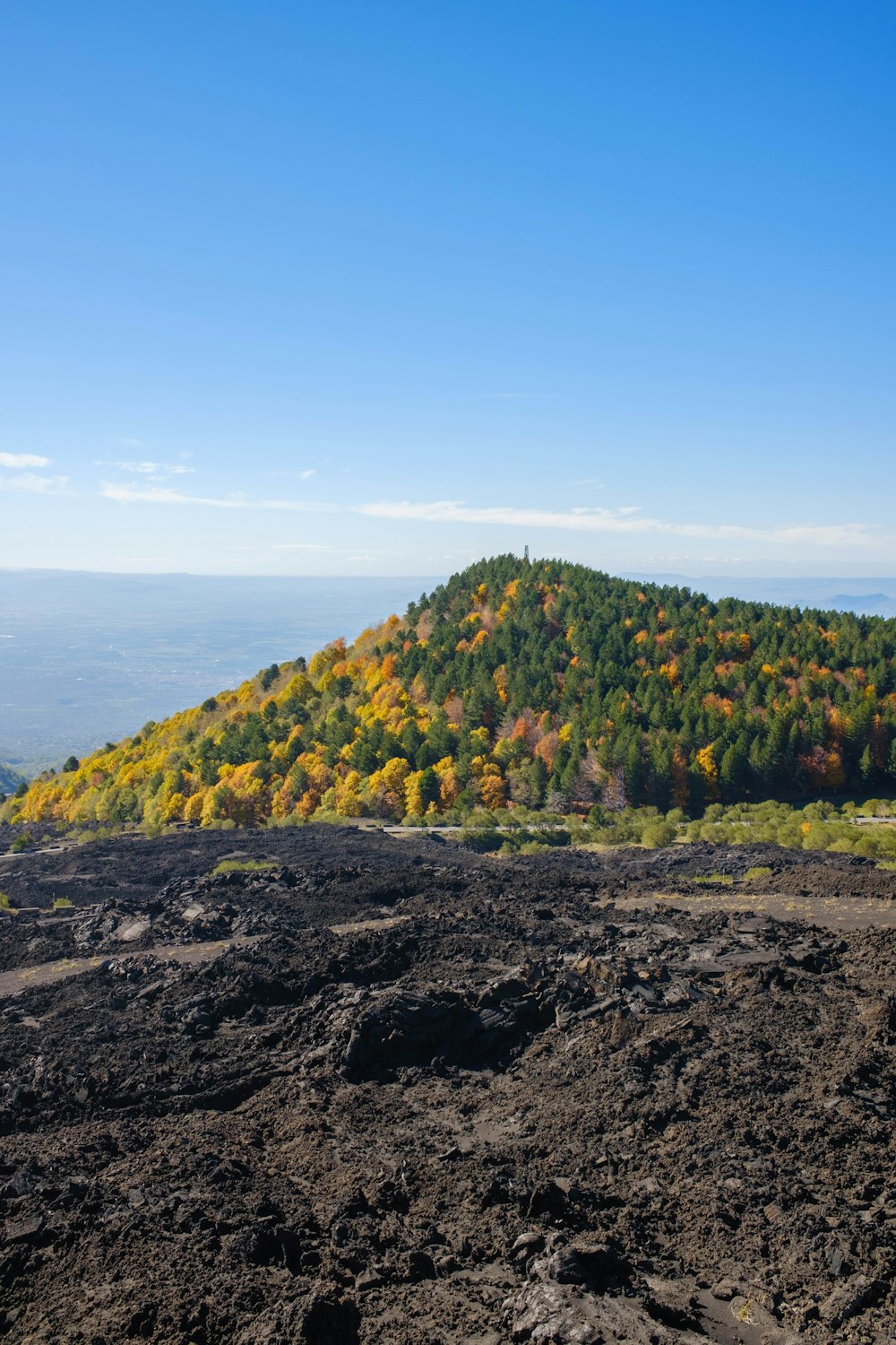 a view of a mountain with trees in the background