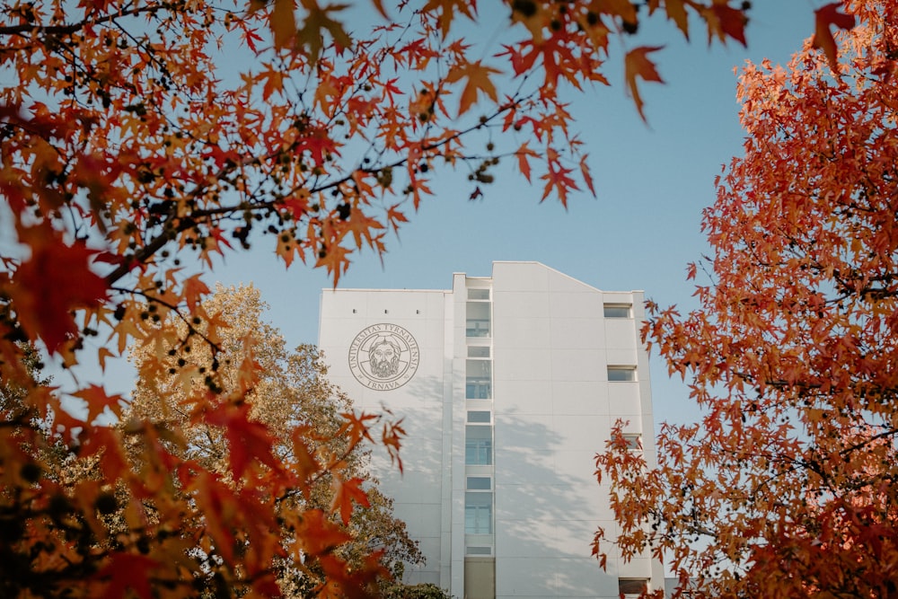 a tall white building surrounded by lots of trees