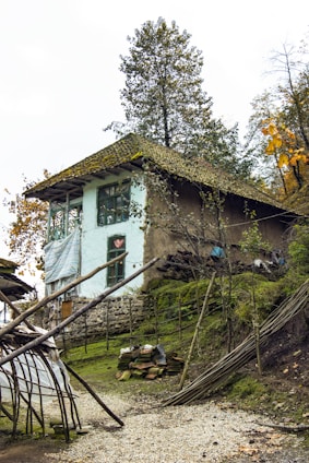 A rustic house with a slanted roof, constructed using stone and mud. Timber poles are set up around it, possibly as a structure in progress or storage for building materials. The surrounding area is covered with green moss and vegetation, and tall trees stand in the background.