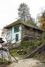 A rustic house with a slanted roof, constructed using stone and mud. Timber poles are set up around it, possibly as a structure in progress or storage for building materials. The surrounding area is covered with green moss and vegetation, and tall trees stand in the background.