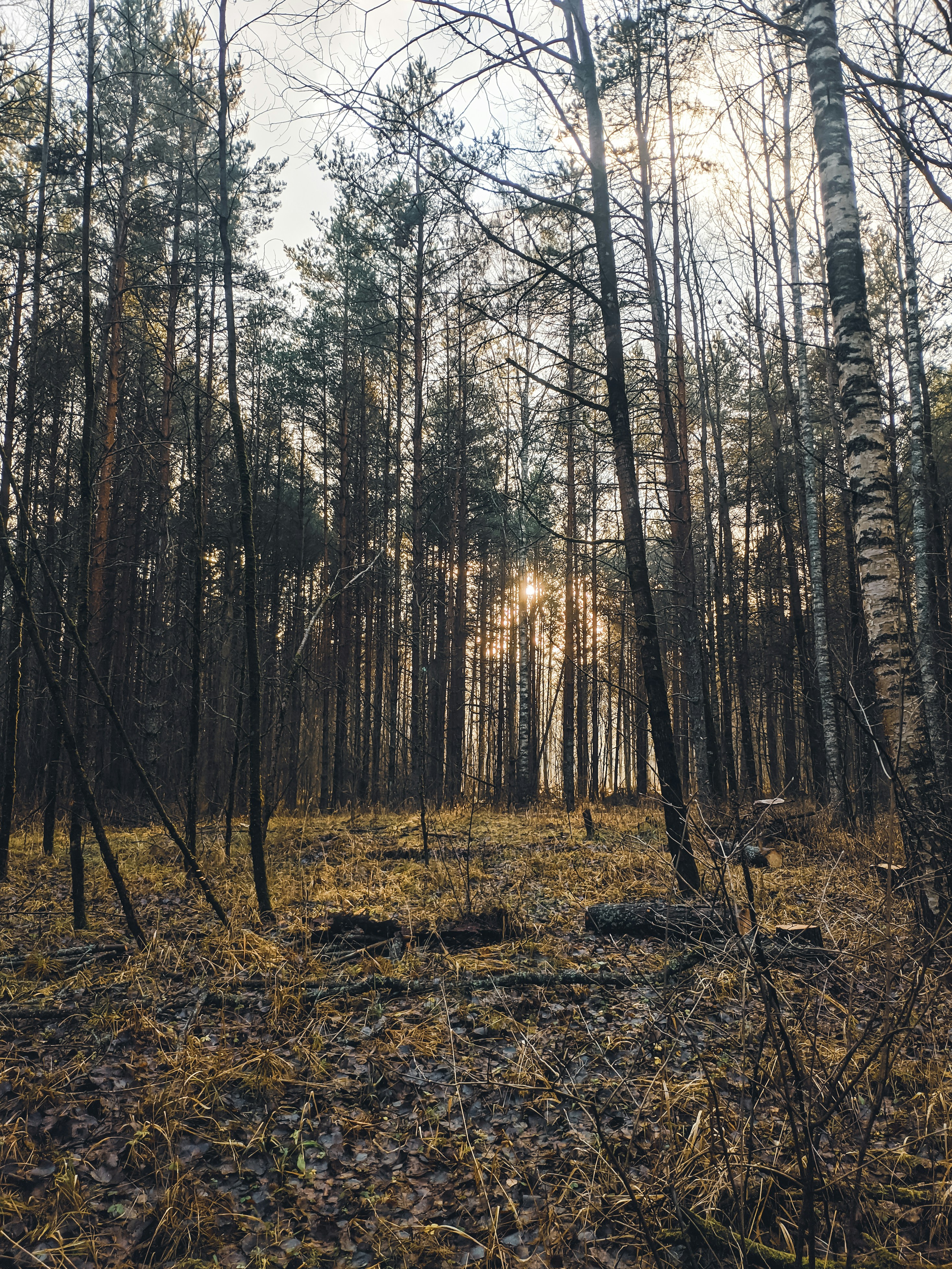 Photo by andrey_sinus