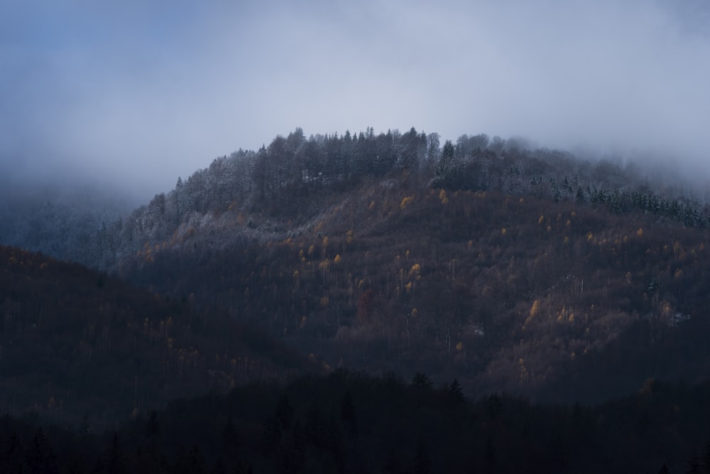Ein nebelbedeckter Berg mit Bäumen darauf