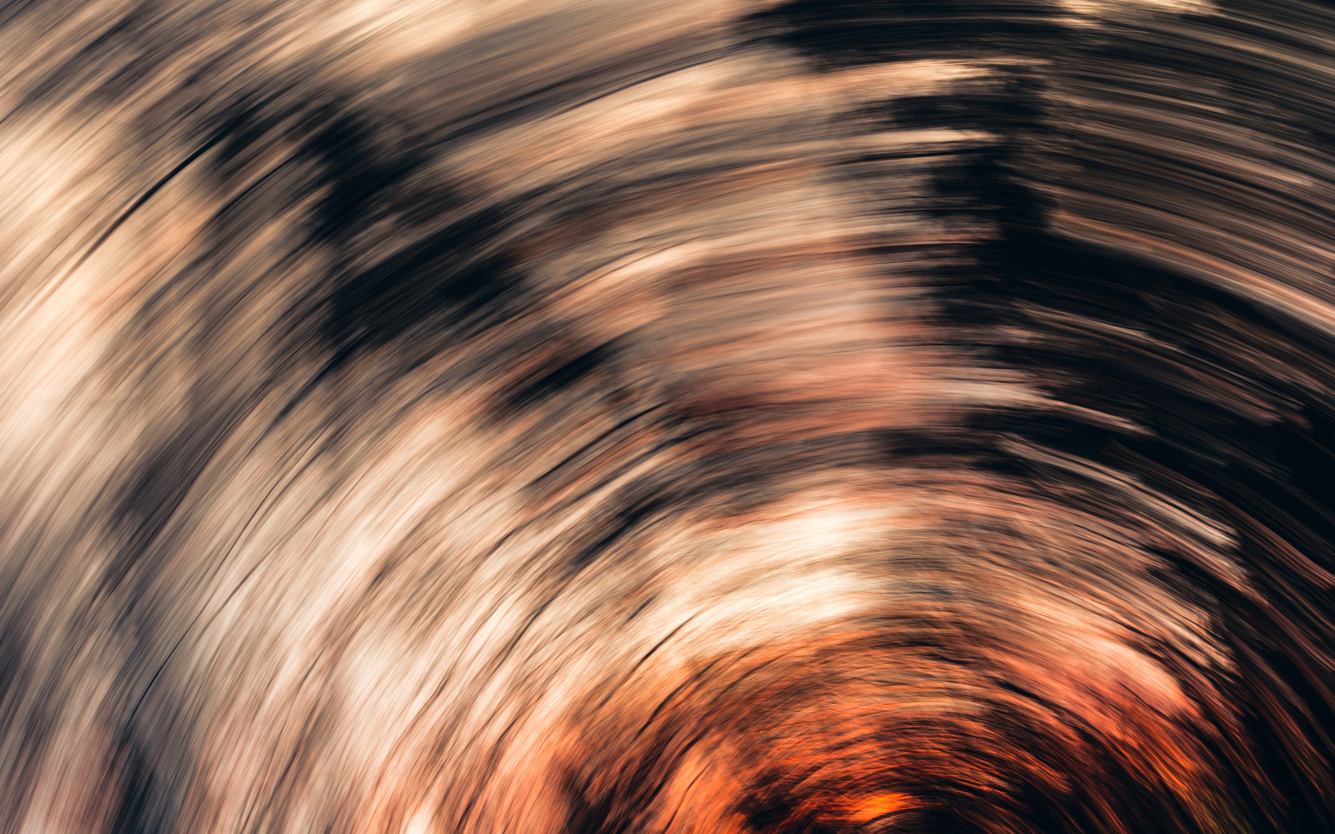 Photo by marekpiwnicki