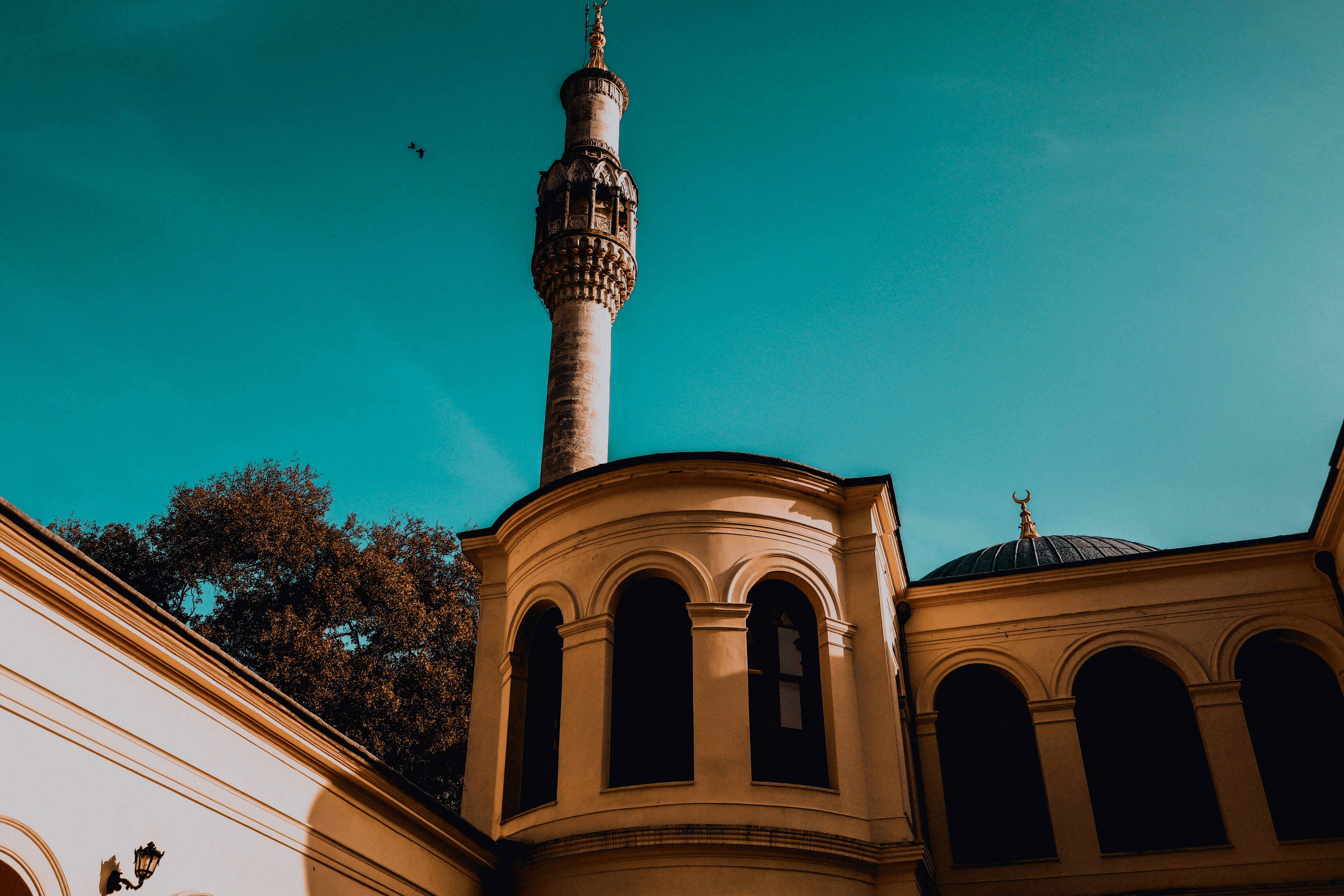 Photo by servetphotograph