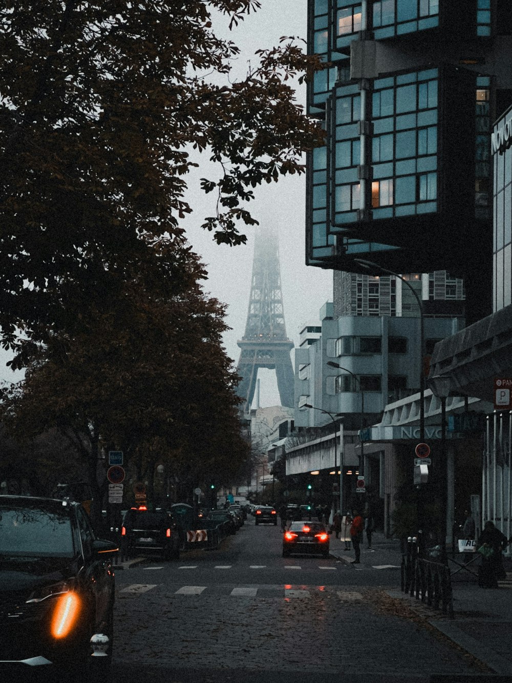 the eiffel tower towering over the city of paris