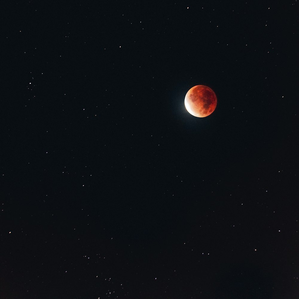 a blood moon is seen in the night sky