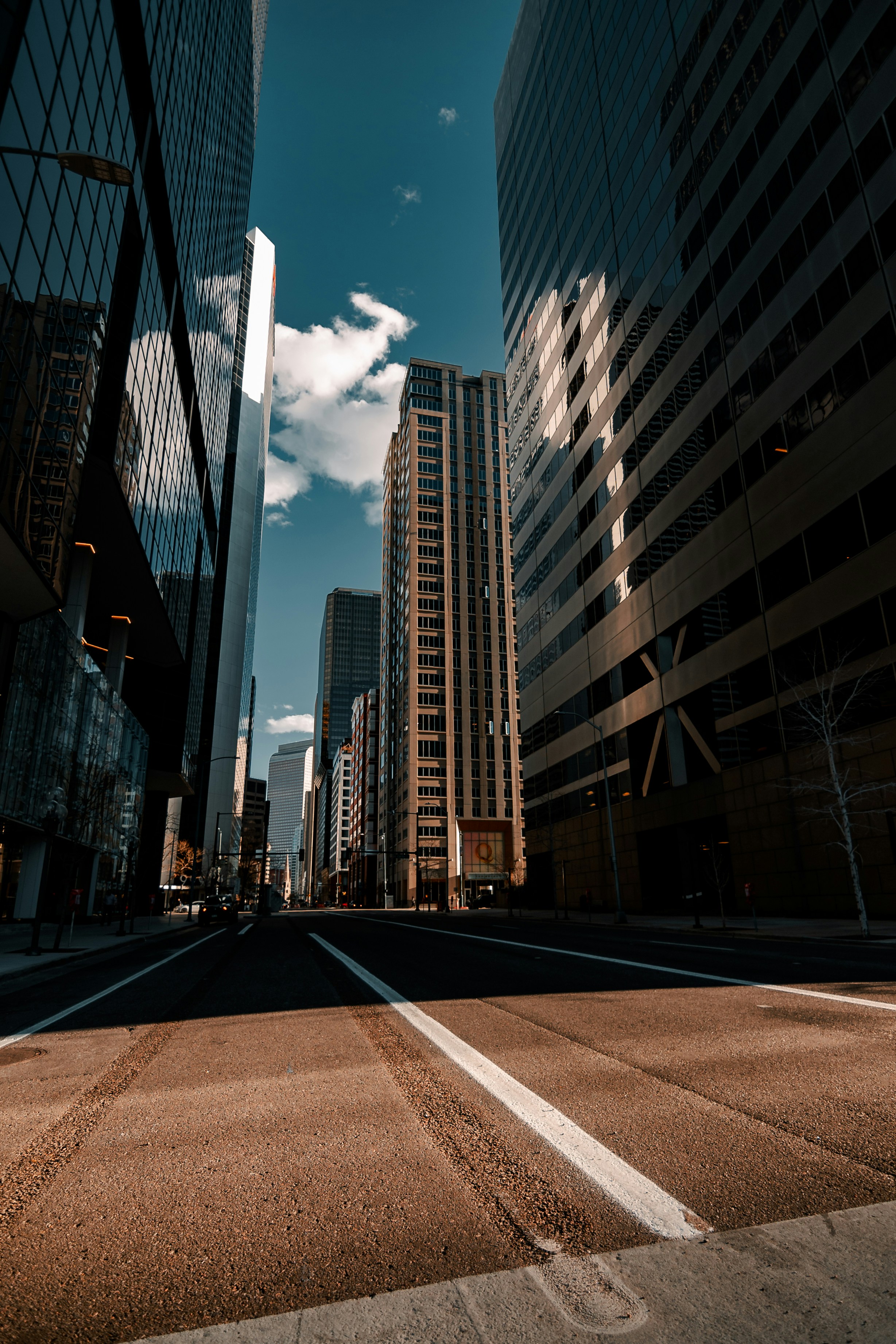 Photo by onthesearchforpineapples