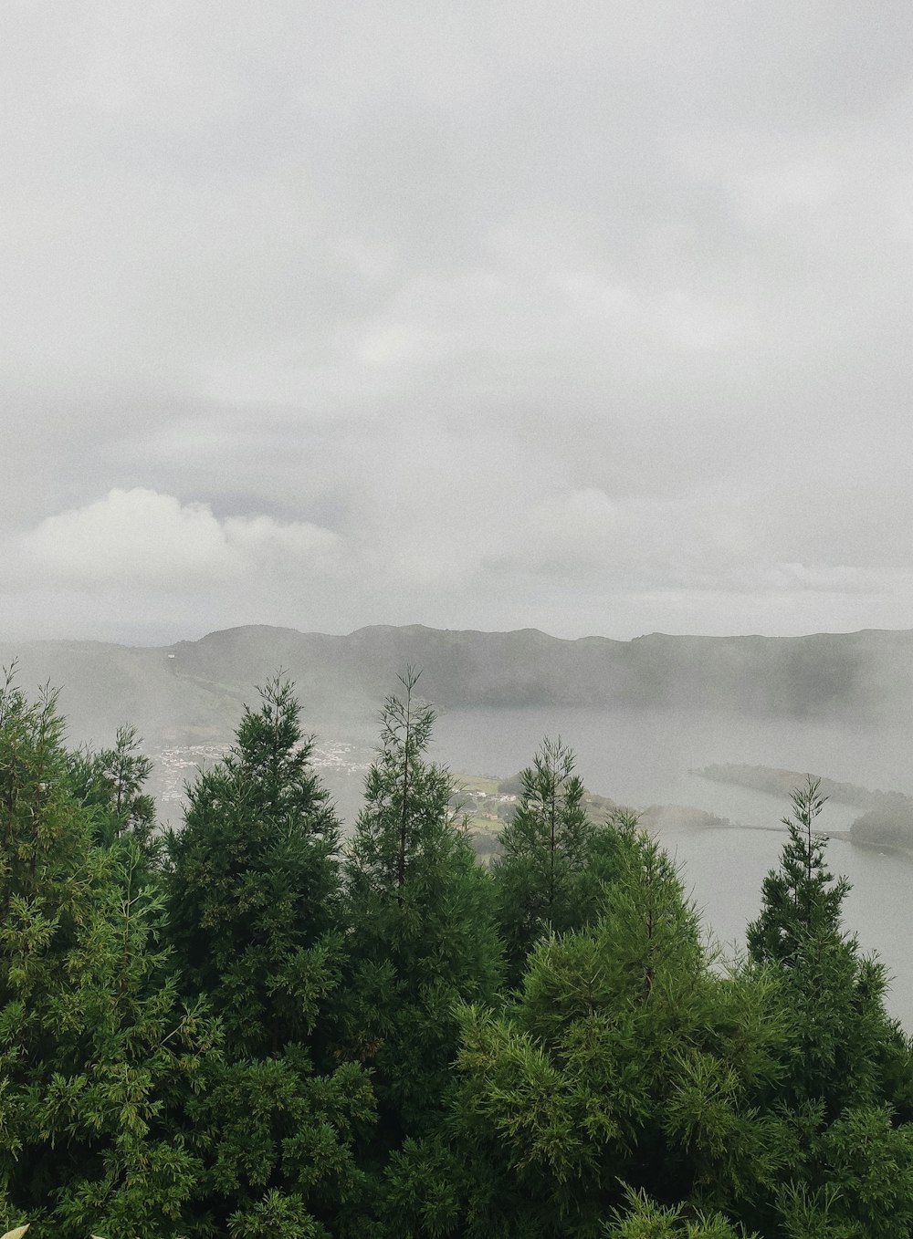 a view of a body of water surrounded by trees