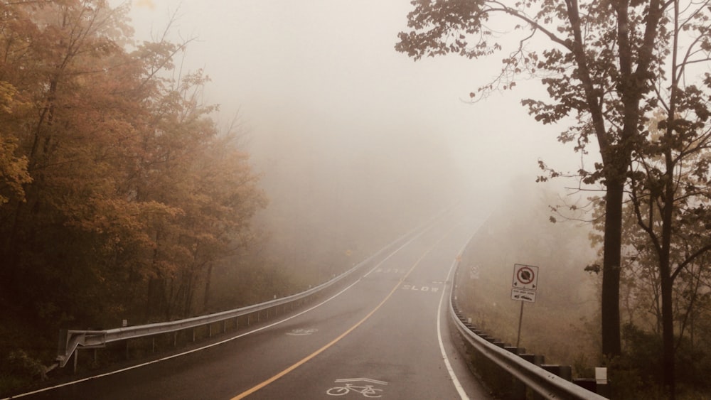 a foggy road in the middle of a forest