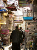 a couple of men walking down a street past bird cages