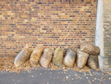 Yard waste cleanup showing branches and leaves neatly bagged and ready for pickup.