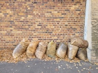 Recycling bags filled with collected leaves.