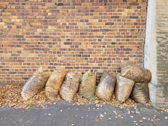 Recycling bags filled with collected leaves.