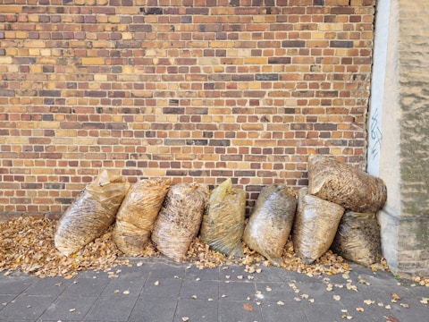 Students raking leaves into recycling bags in a neighborhood.