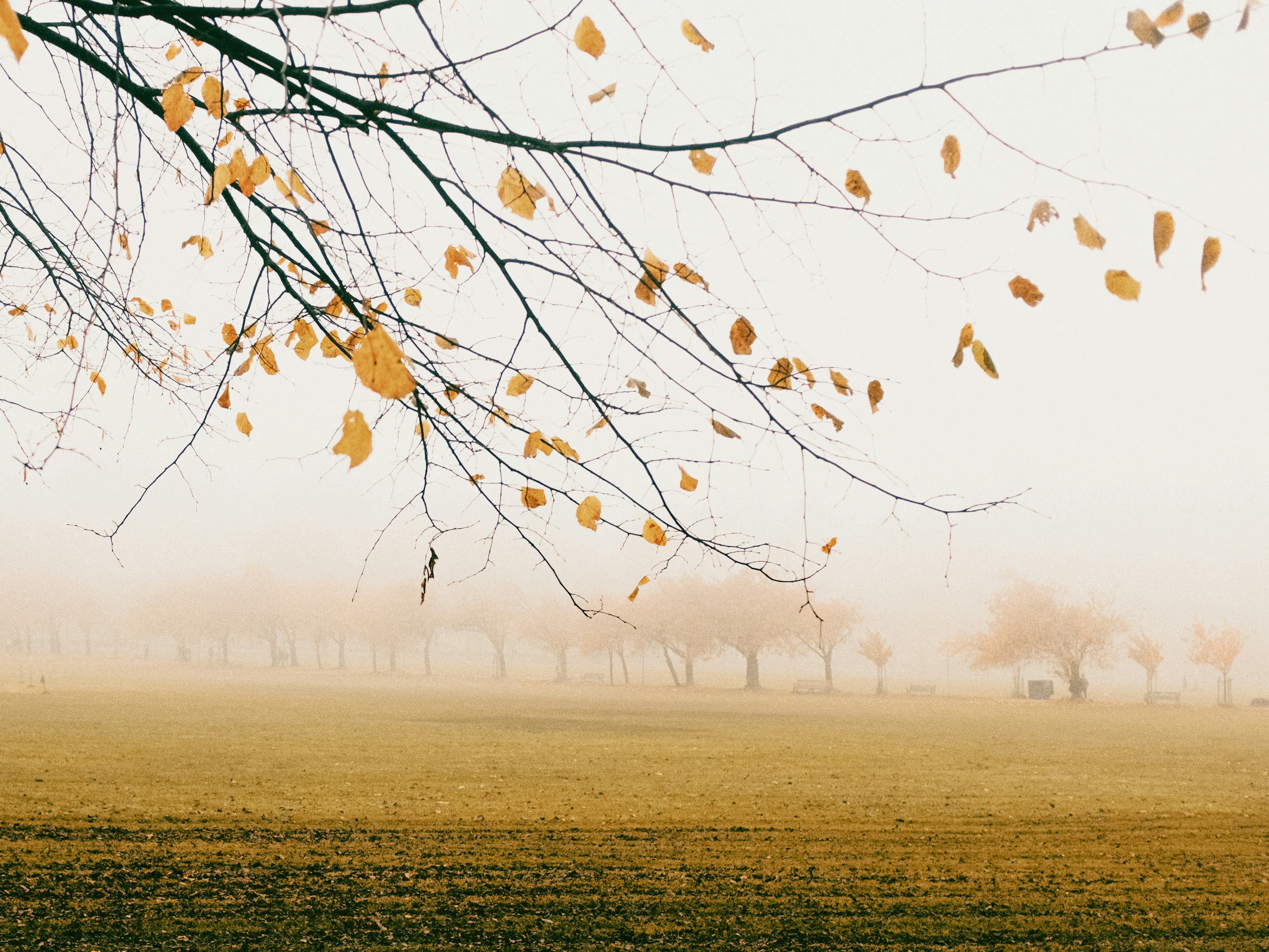 Photo by georgemcveigh