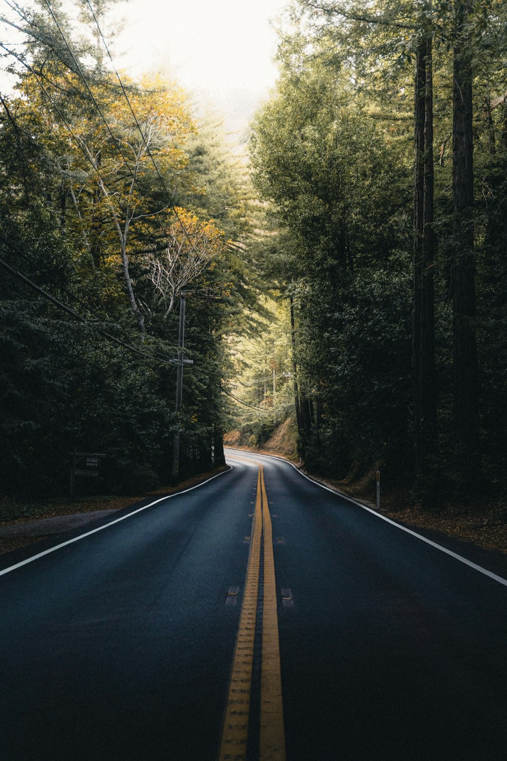 an empty road in the middle of a forest