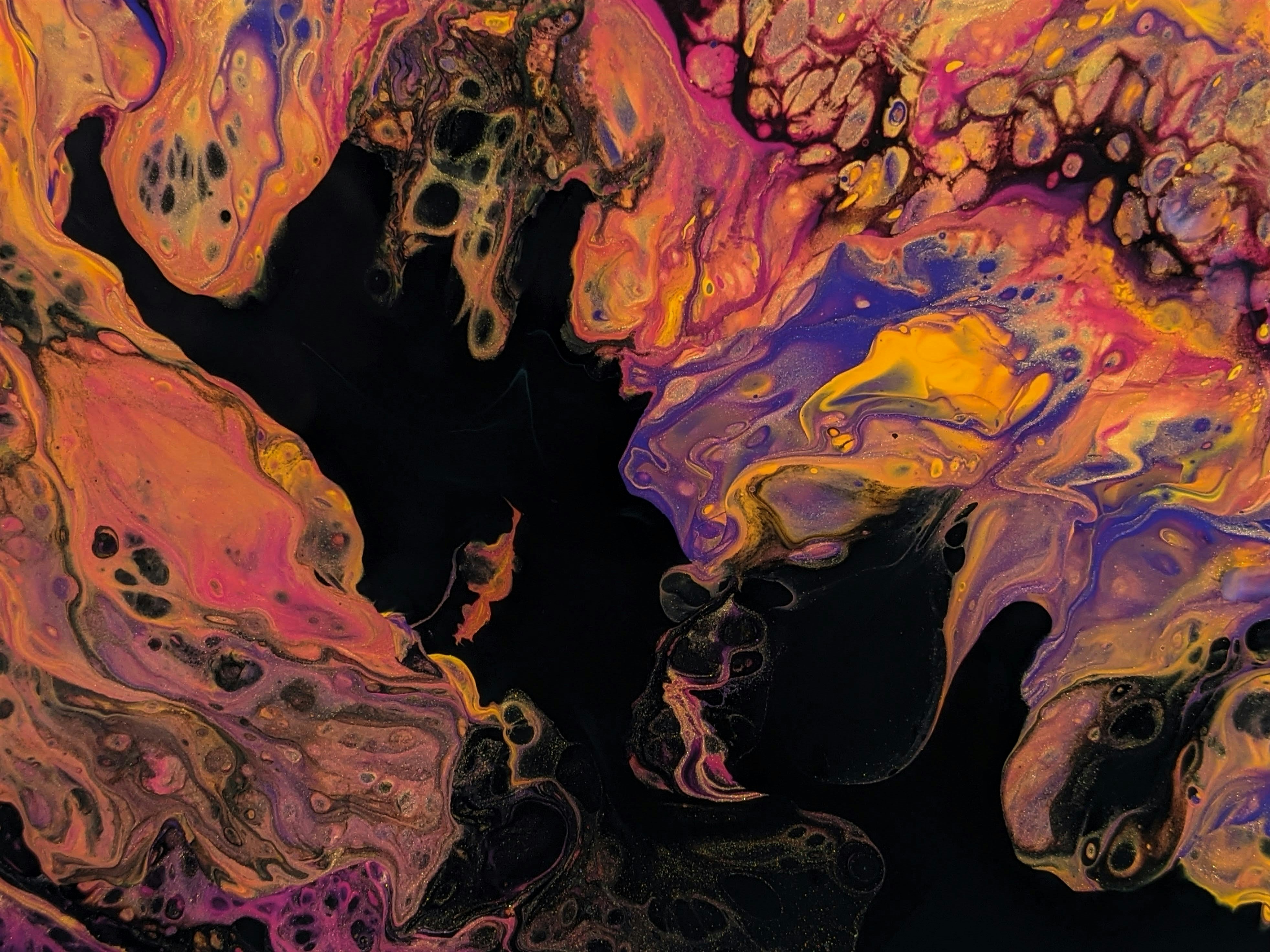 Photo by susan_wilkinson