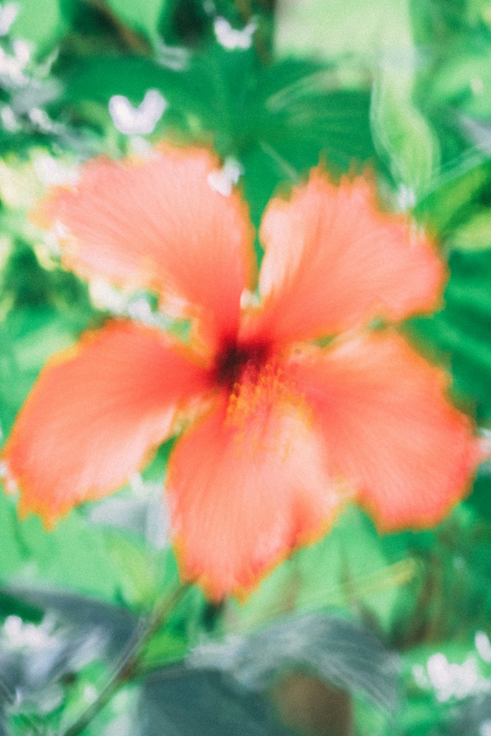 a red flower with green leaves in the background