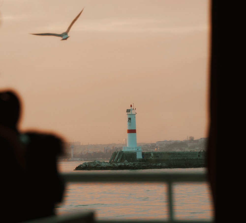 a bird flying over a light house next to a body of water