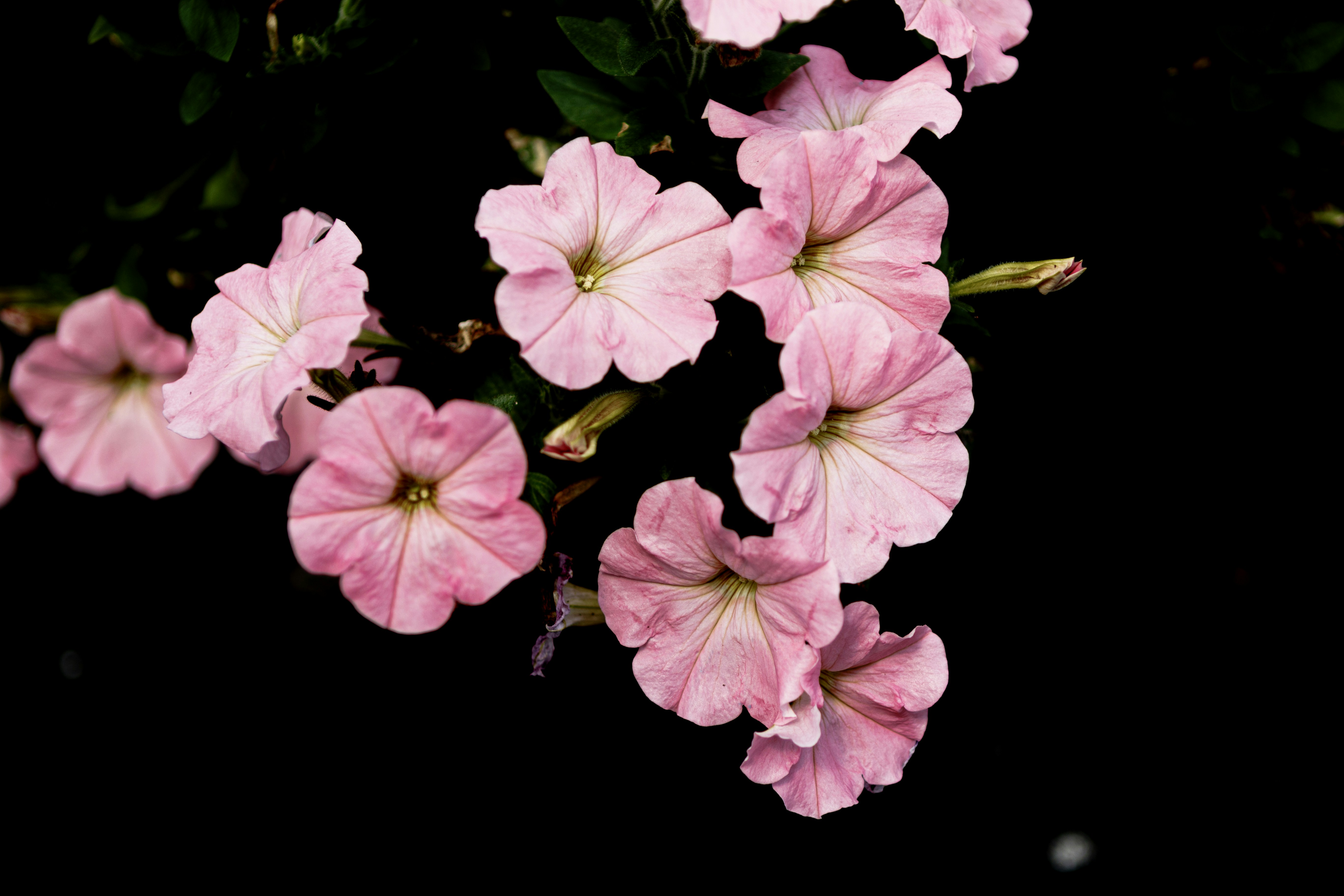 Photo by parkerdesignsss