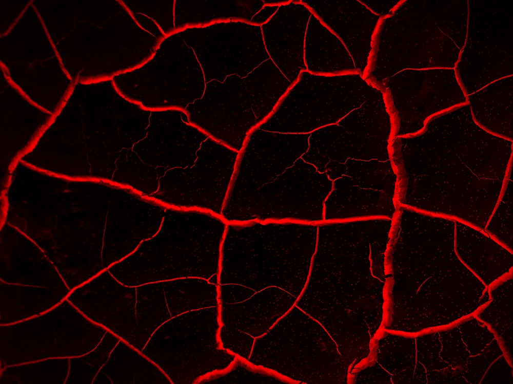 黒い背景に赤い静脈の接写