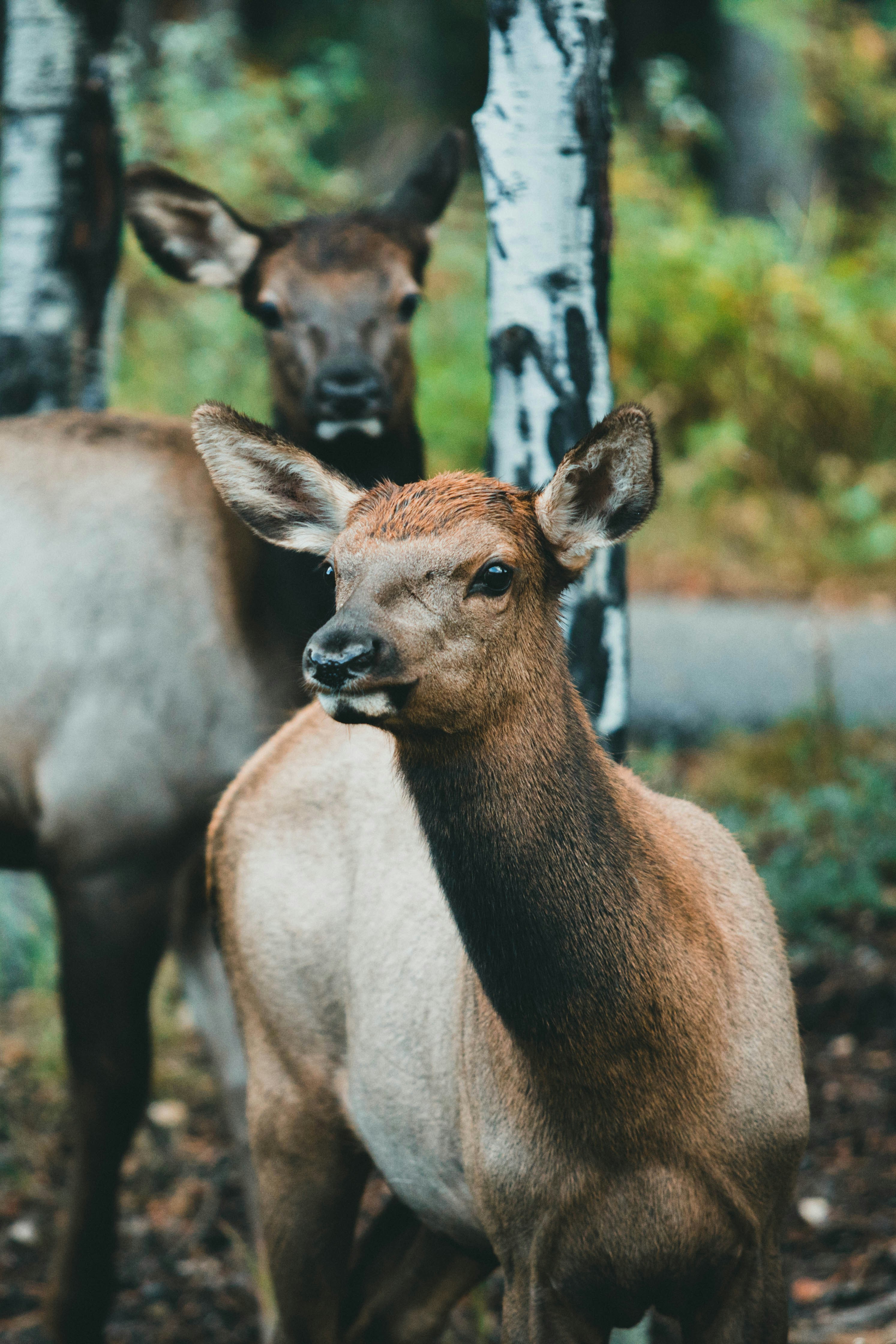 Photo by theshuttervision