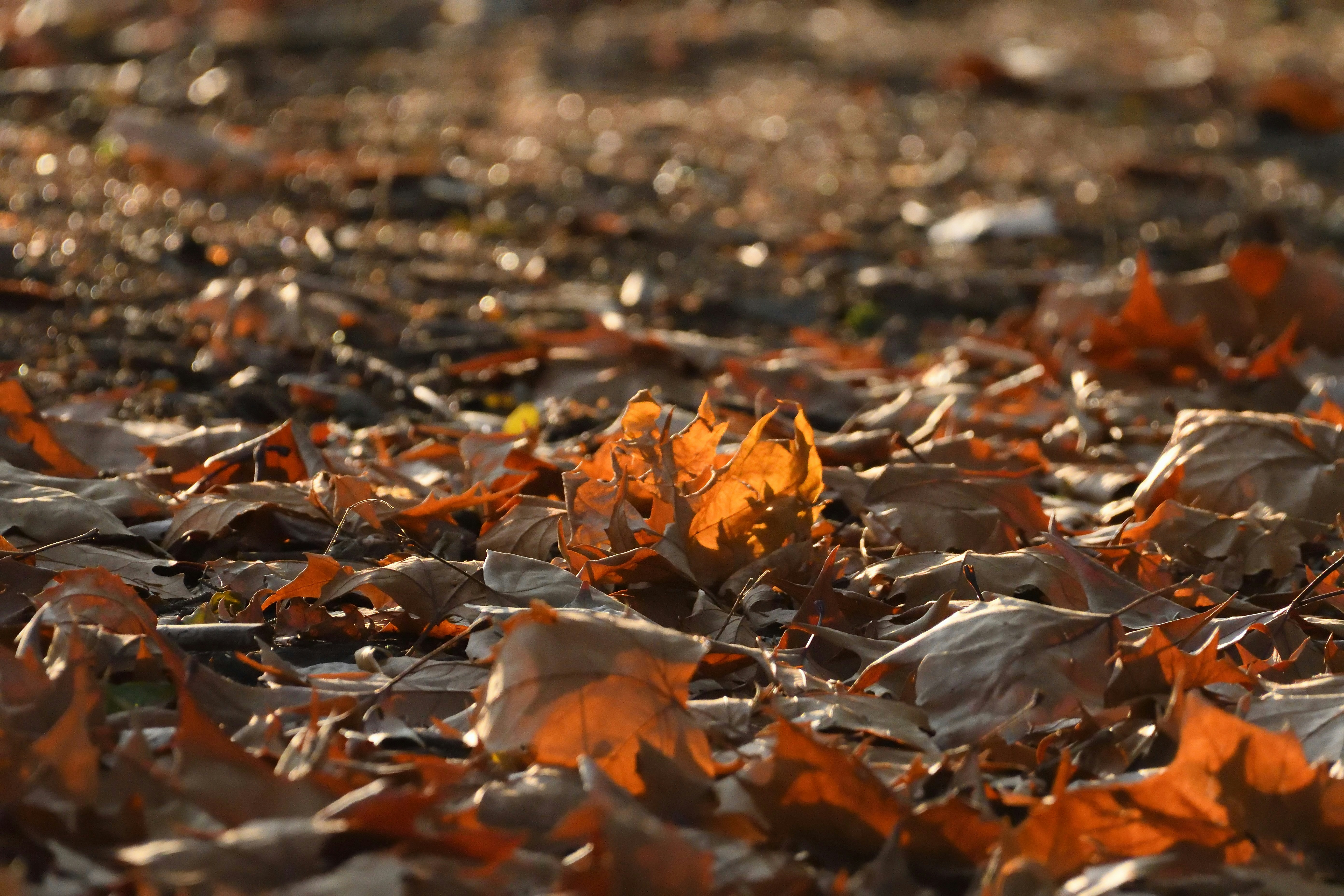 Photo by freezer_nico