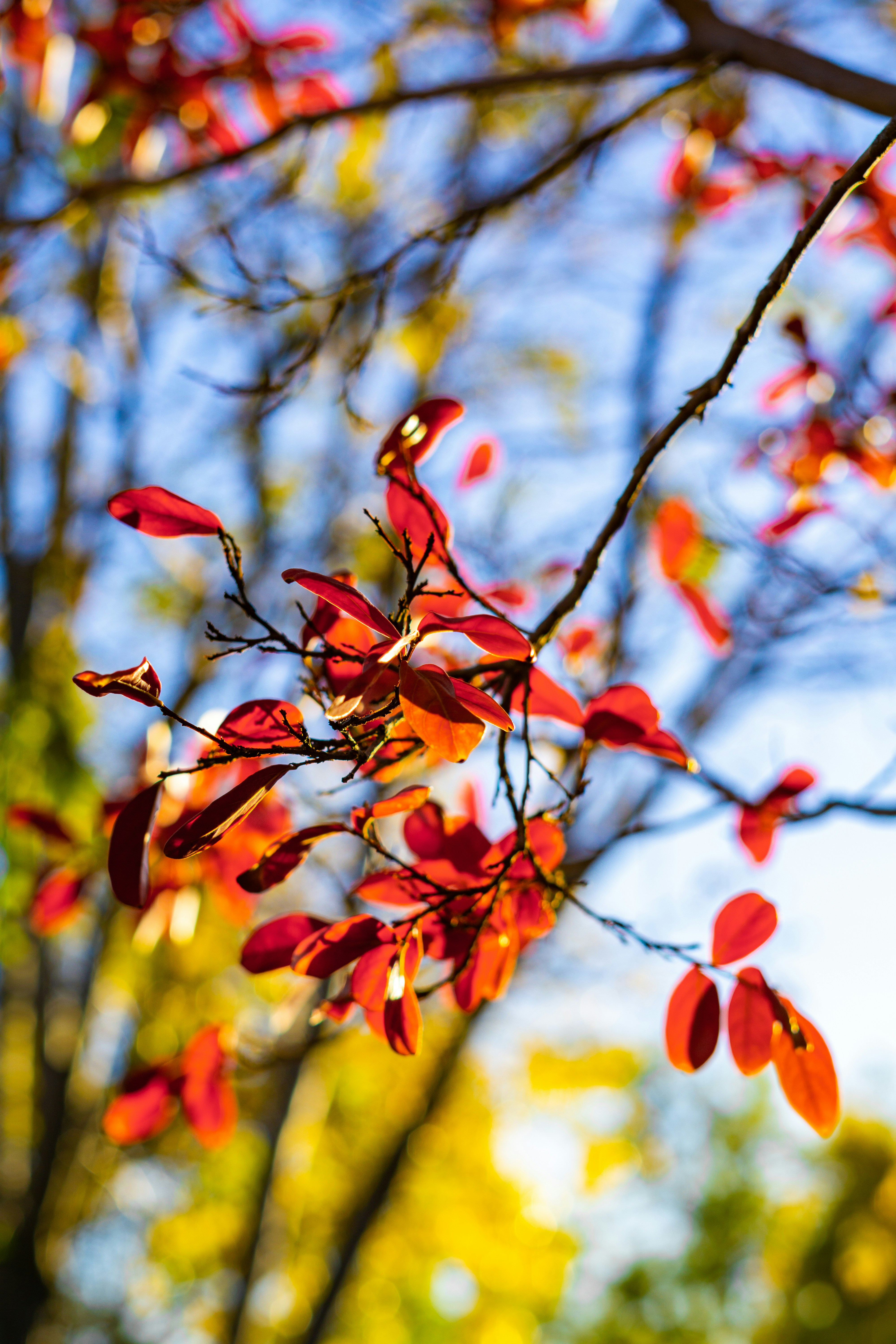 Photo by spencer_demera