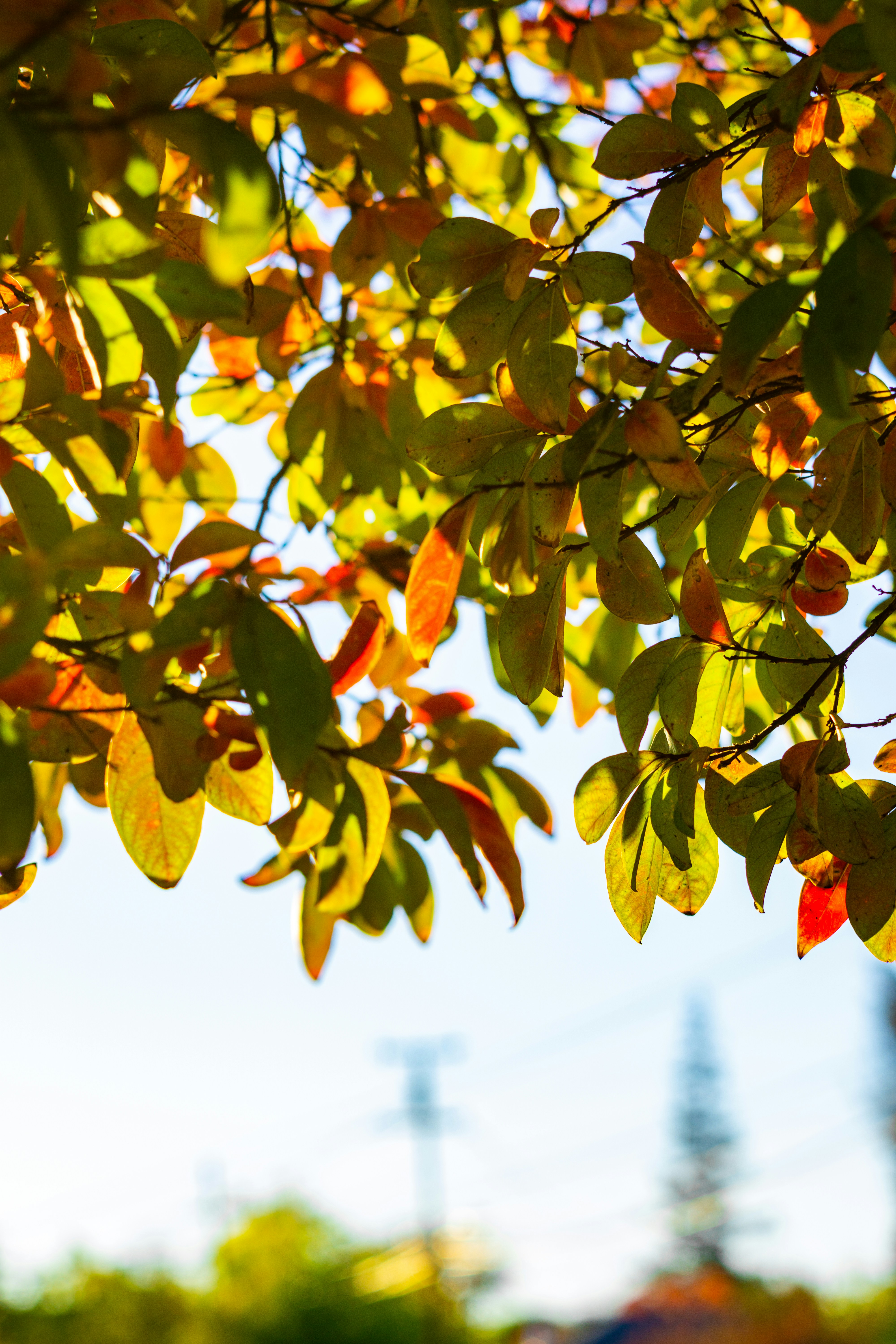 Photo by spencer_demera