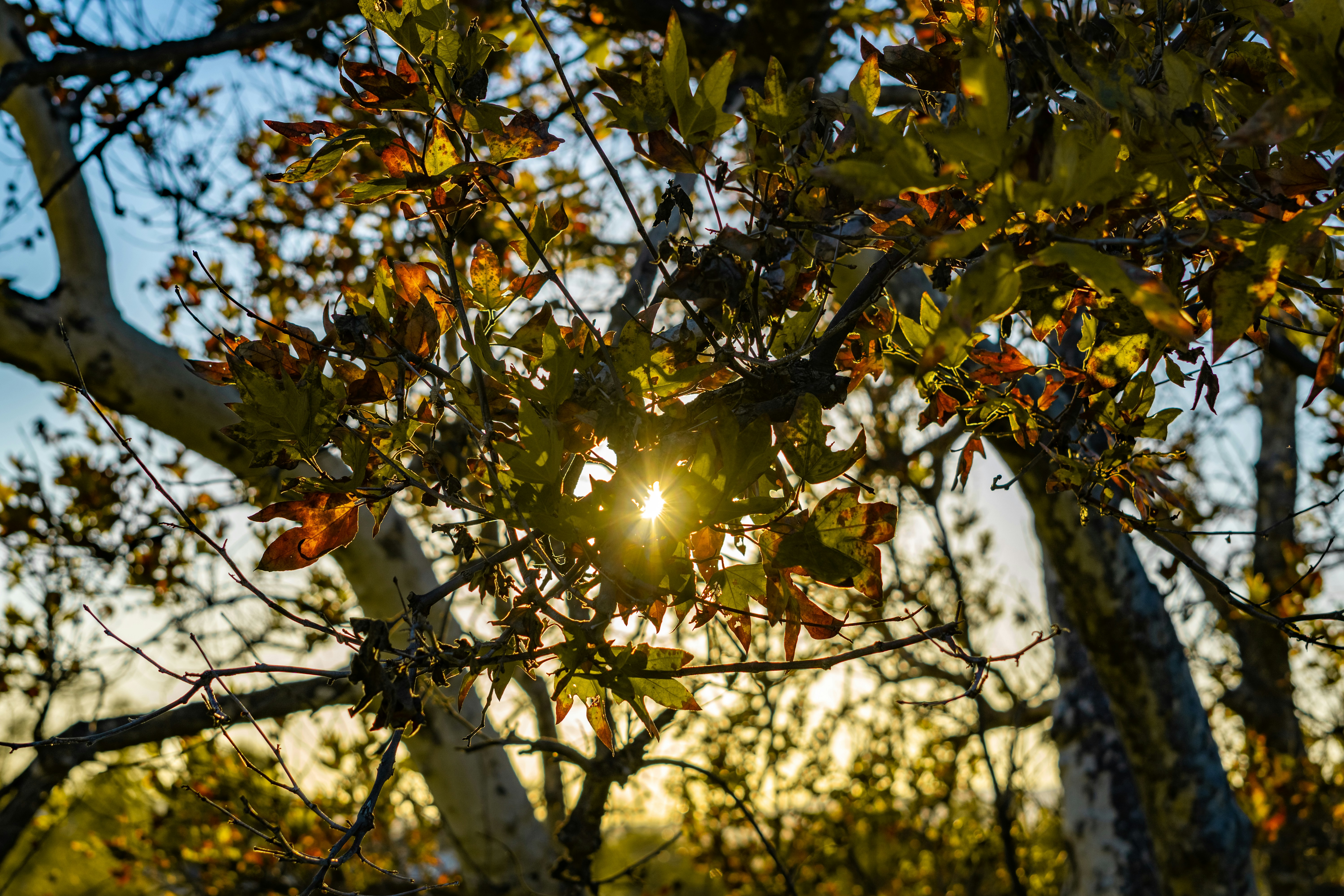 Photo by spencer_demera