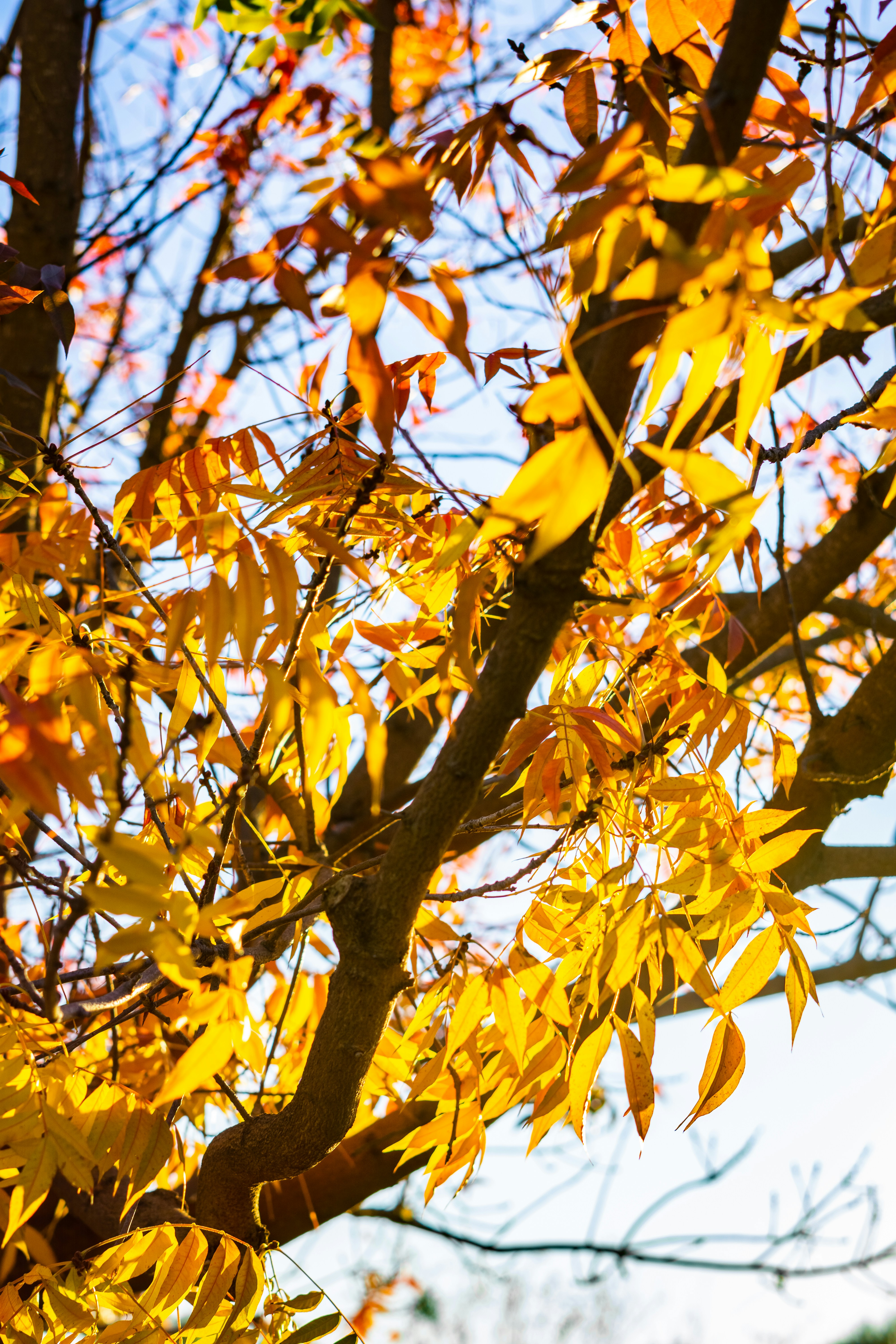 Photo by spencer_demera