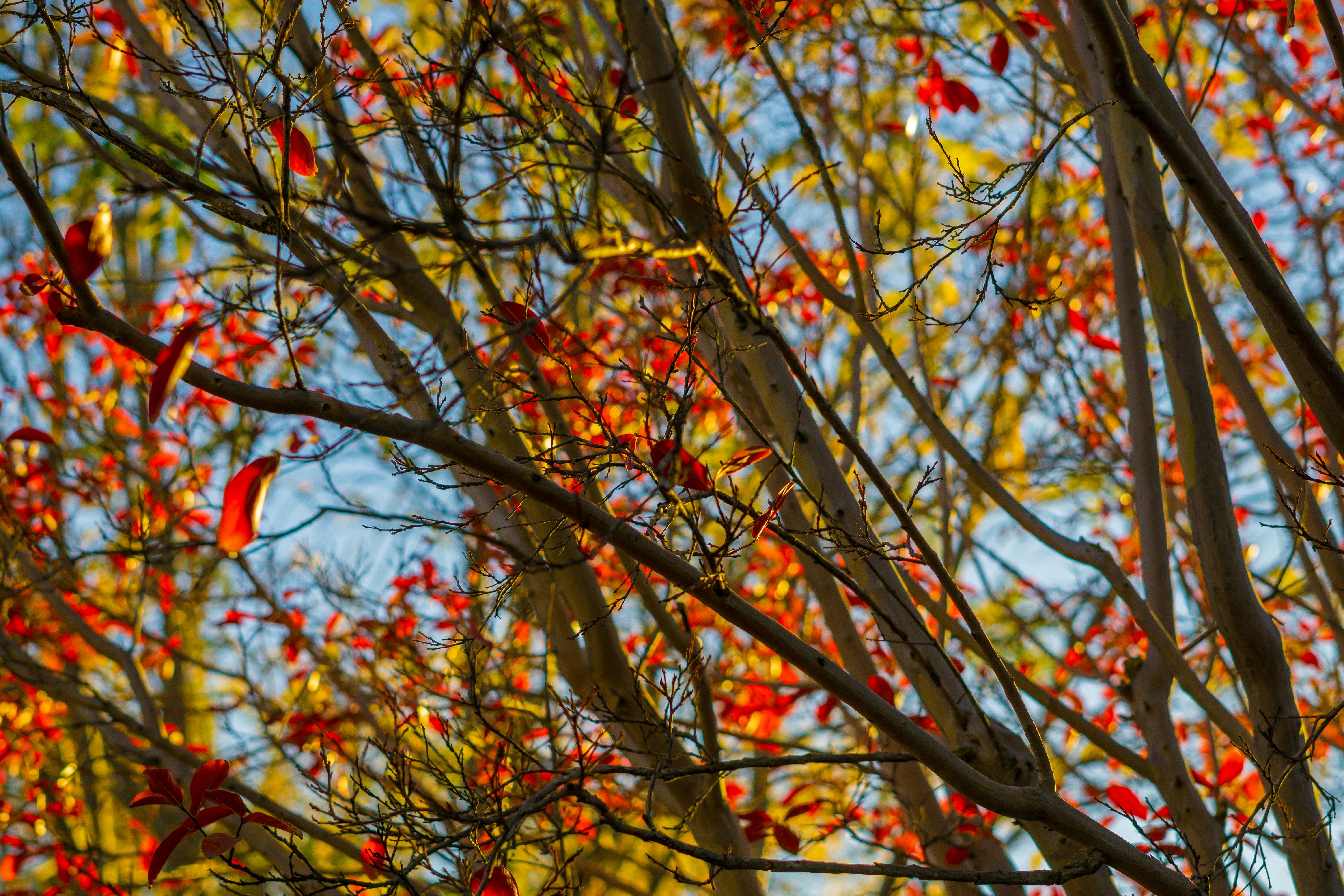 Photo by spencer_demera