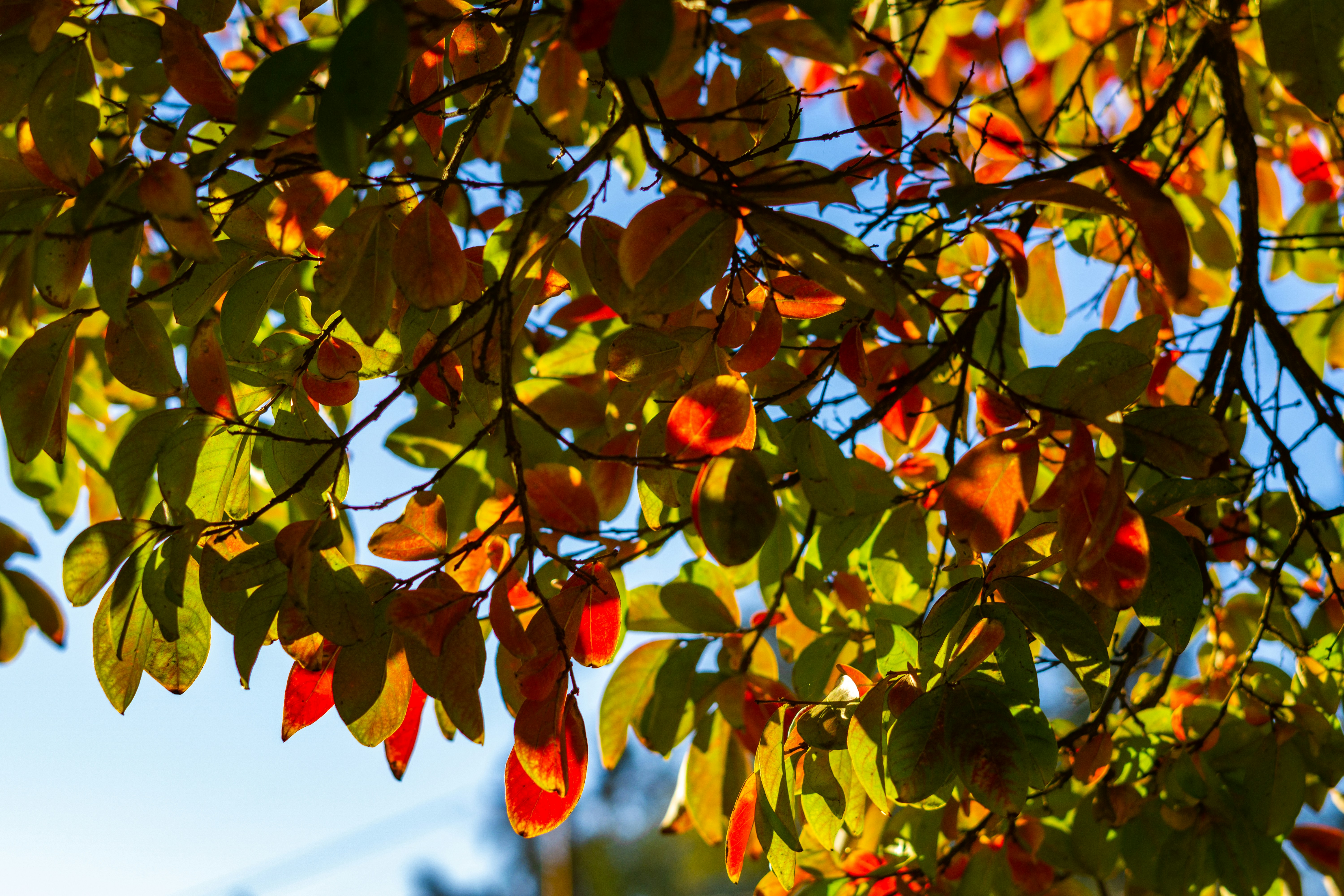 Photo by spencer_demera