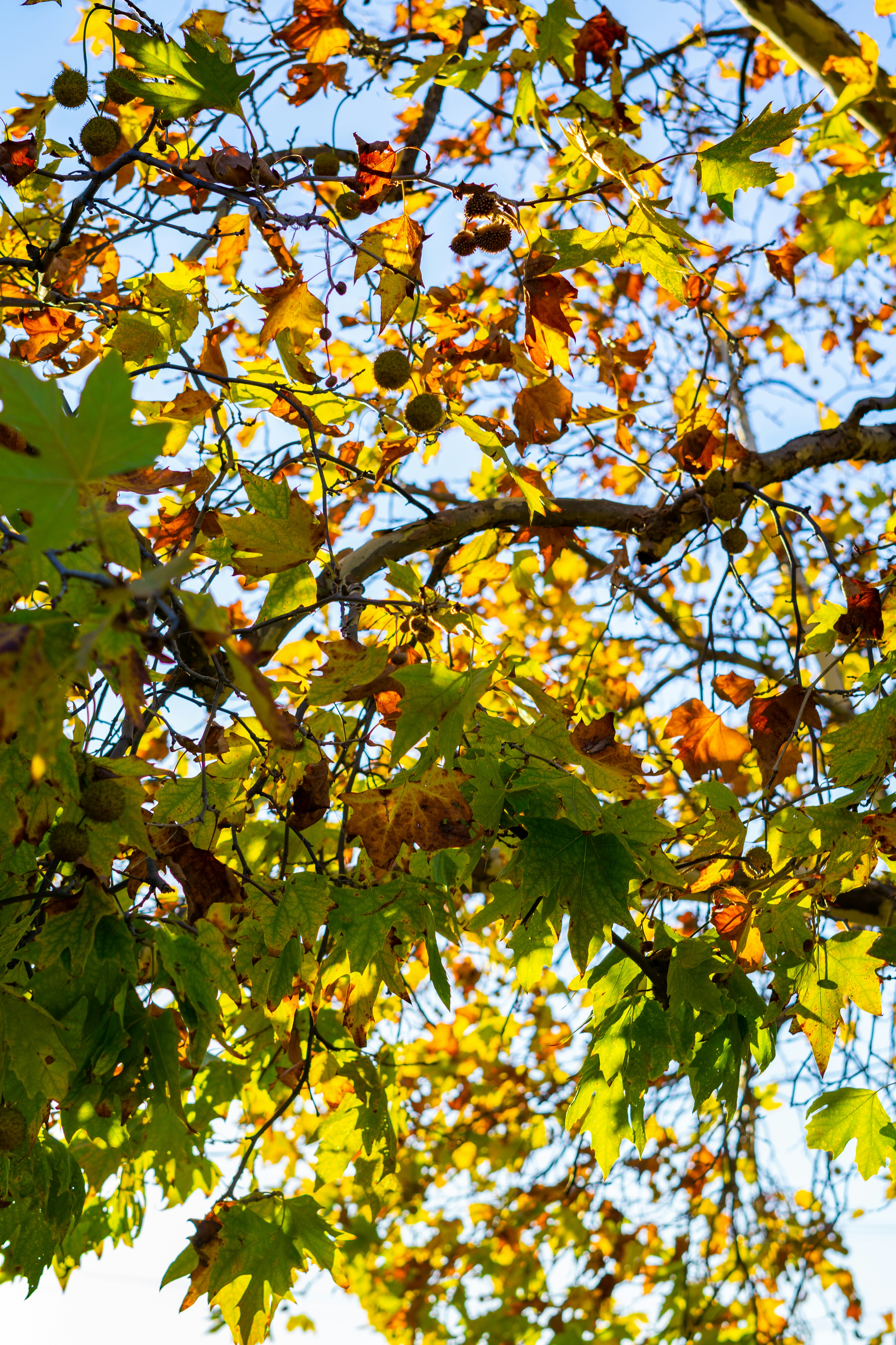 Photo by spencer_demera