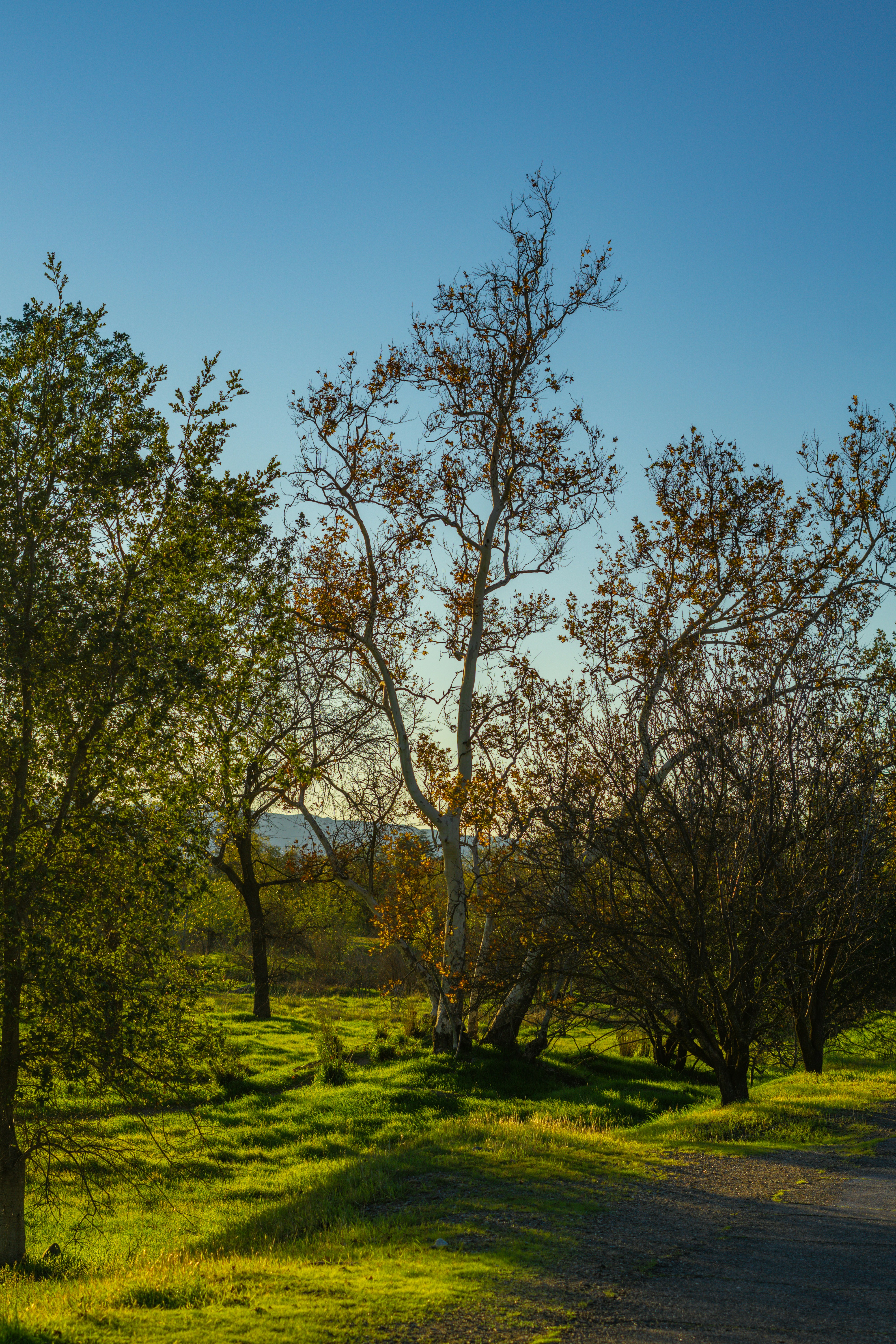 Photo by spencer_demera